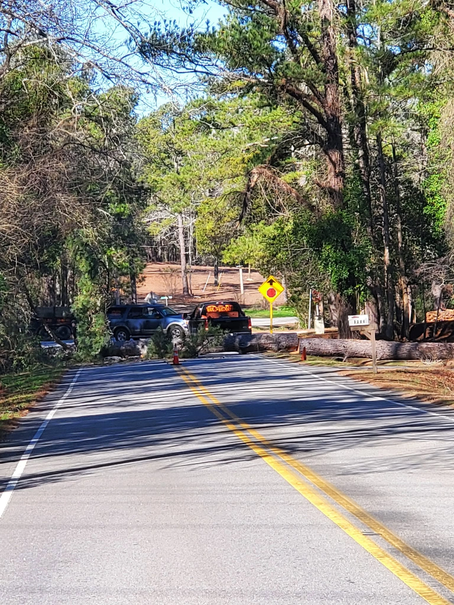 Fallen pine blocking two lane road traffic cone pickups cayc