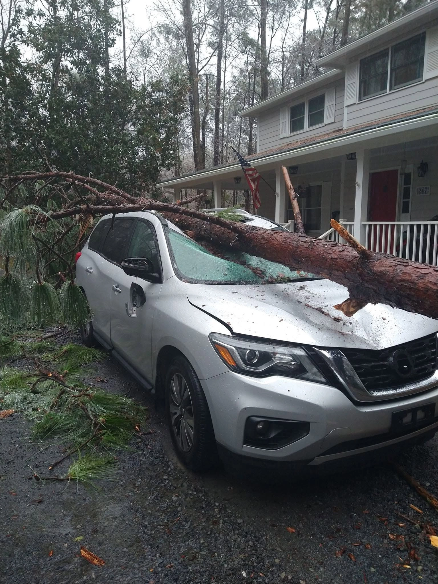 Fallen pine crushed silver suv driveway two story house lexi