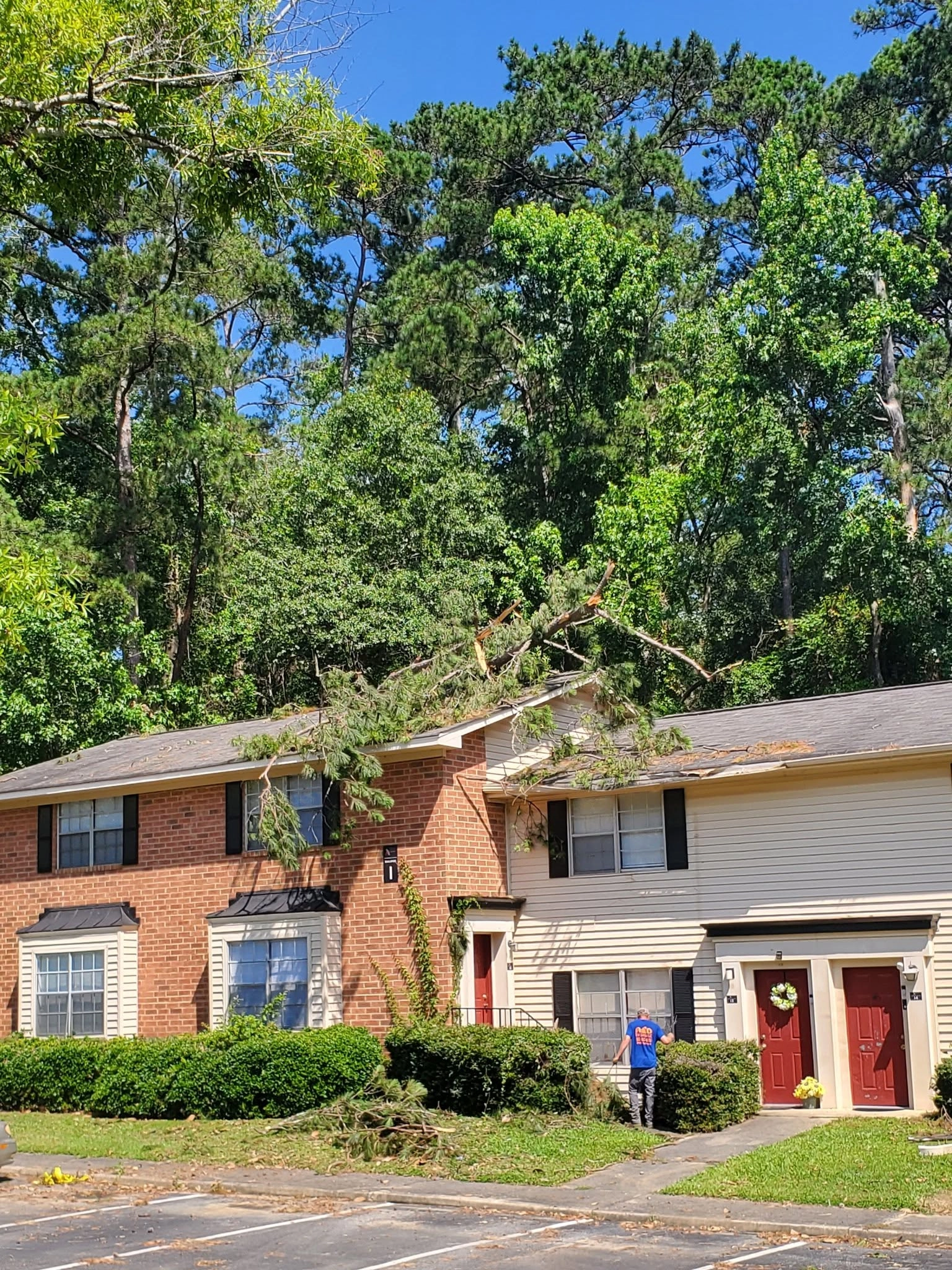 Fallen pine limb apartment roof red doors parking lot cayce 