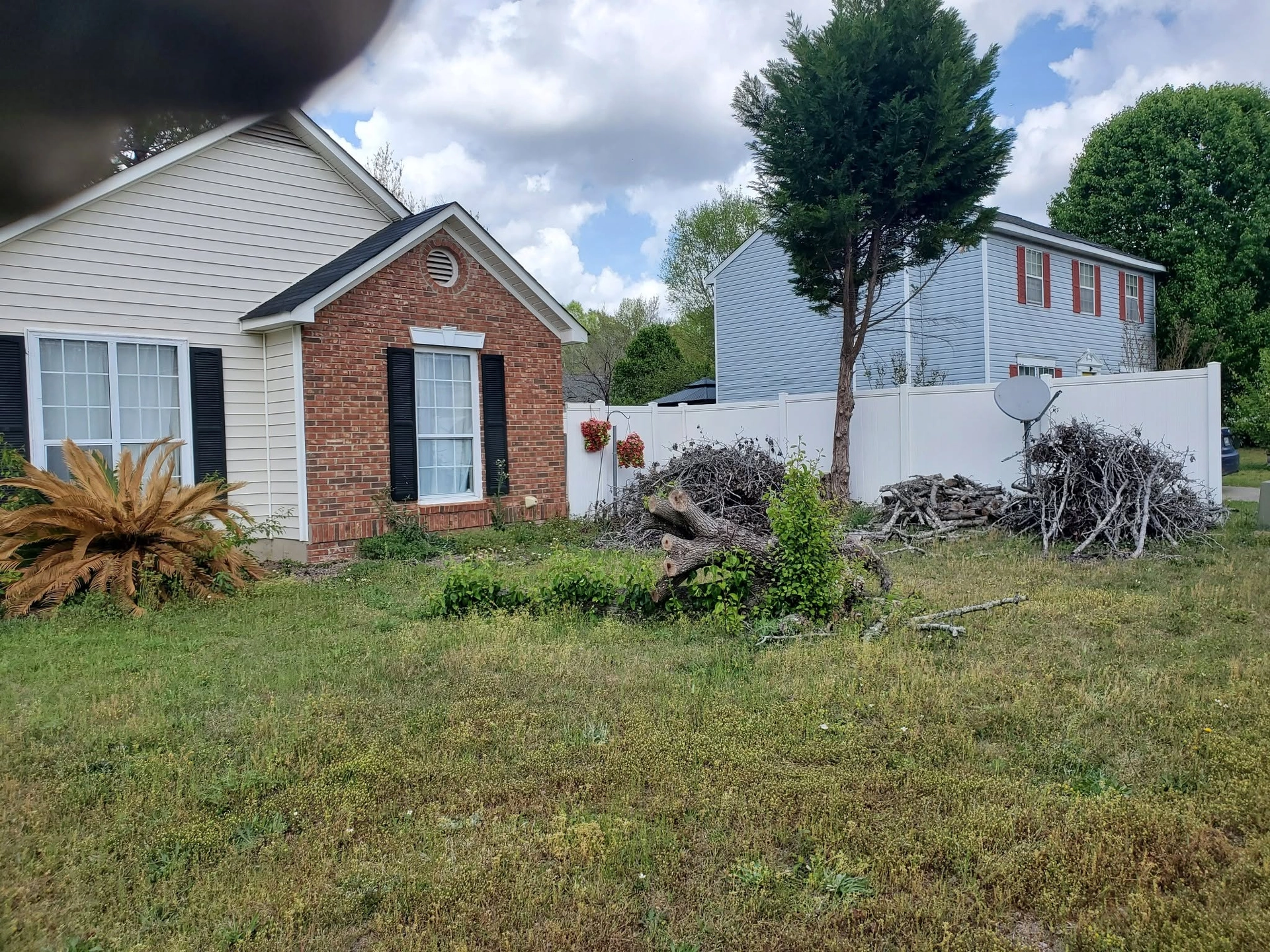 Felled tree trunk brush piles white vinyl fence brick cream 
