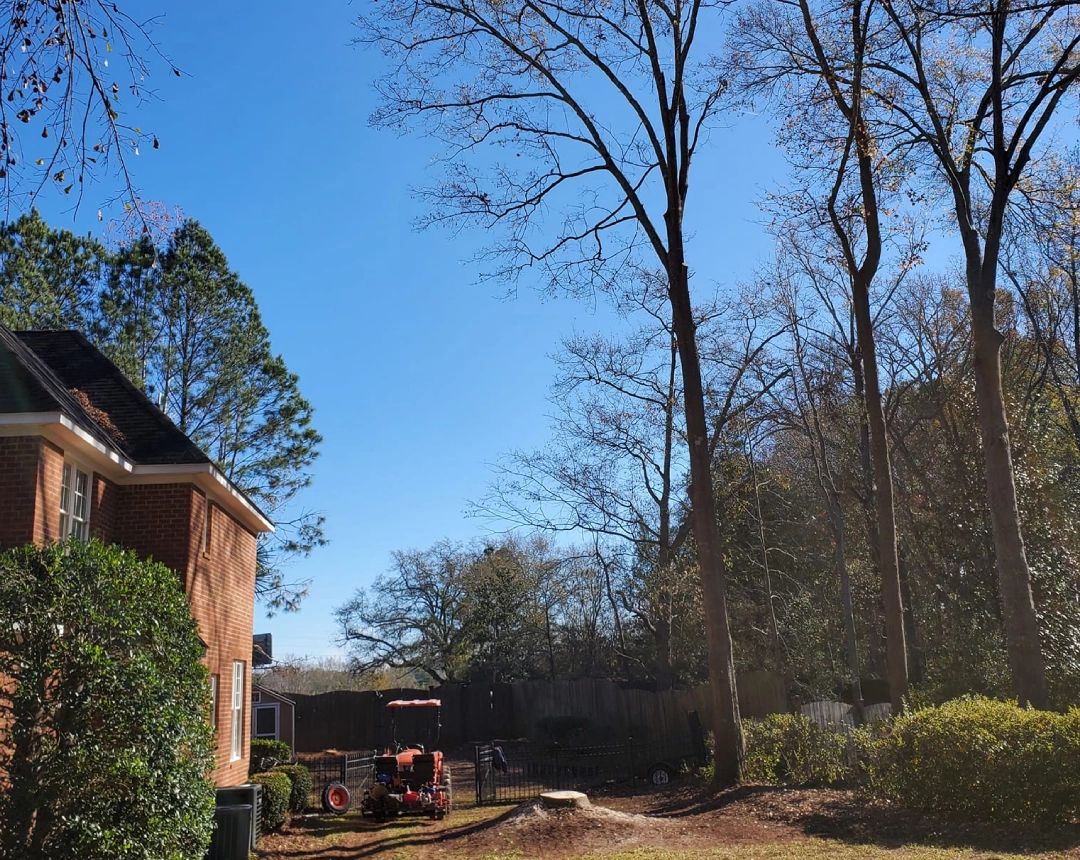 Fresh cut stump brick house backyard kubota tractor fence ca