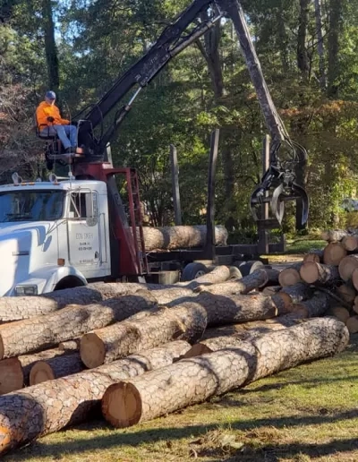 Grapple truck loading pine logs west columbia