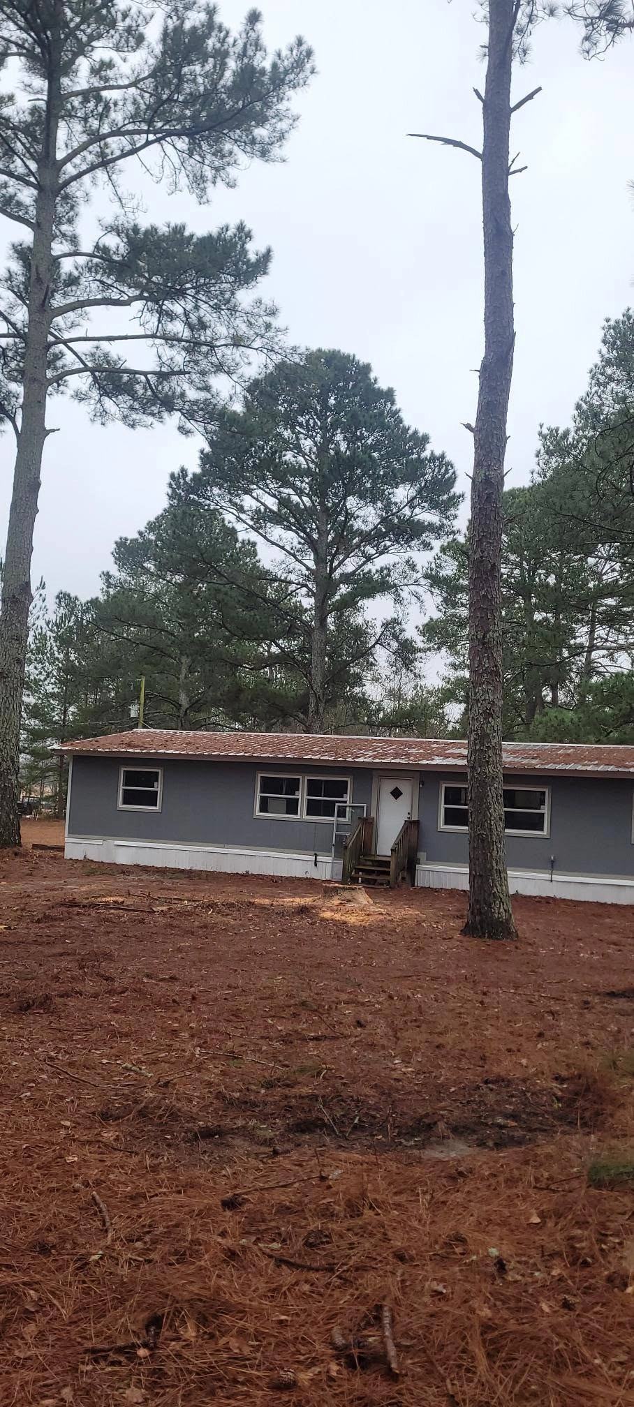 Gray mobile home rusted metal roof pine straw yard fresh stu