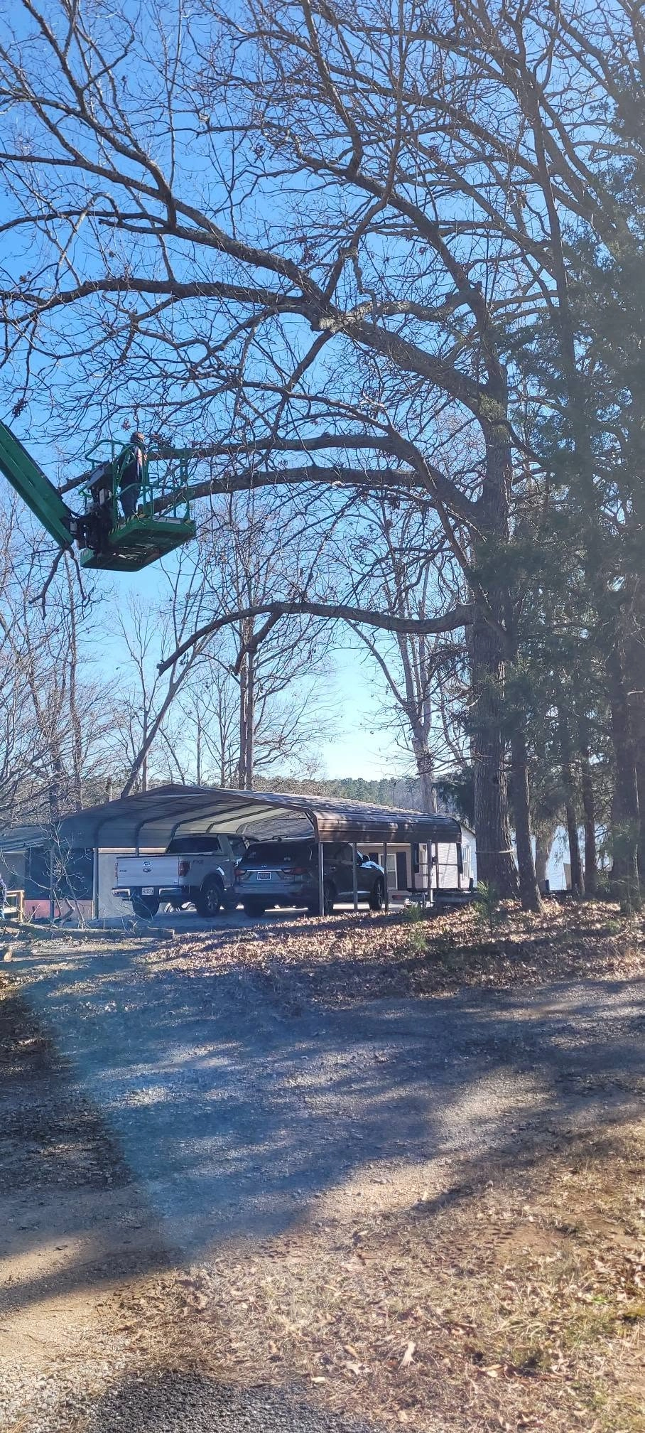 Green boom lift worker pruning oak over metal carport gravel