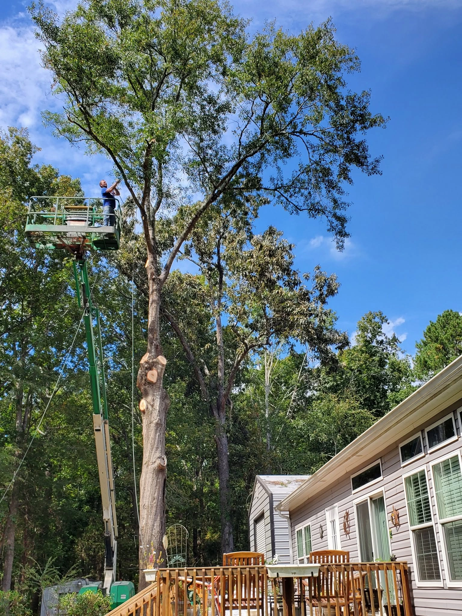 Green boom lift worker trimming tall oak wood deck gray sidi