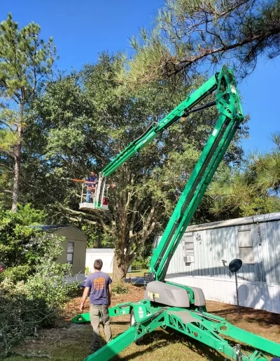 Green spider lift worker basket oak mobile home west columbi