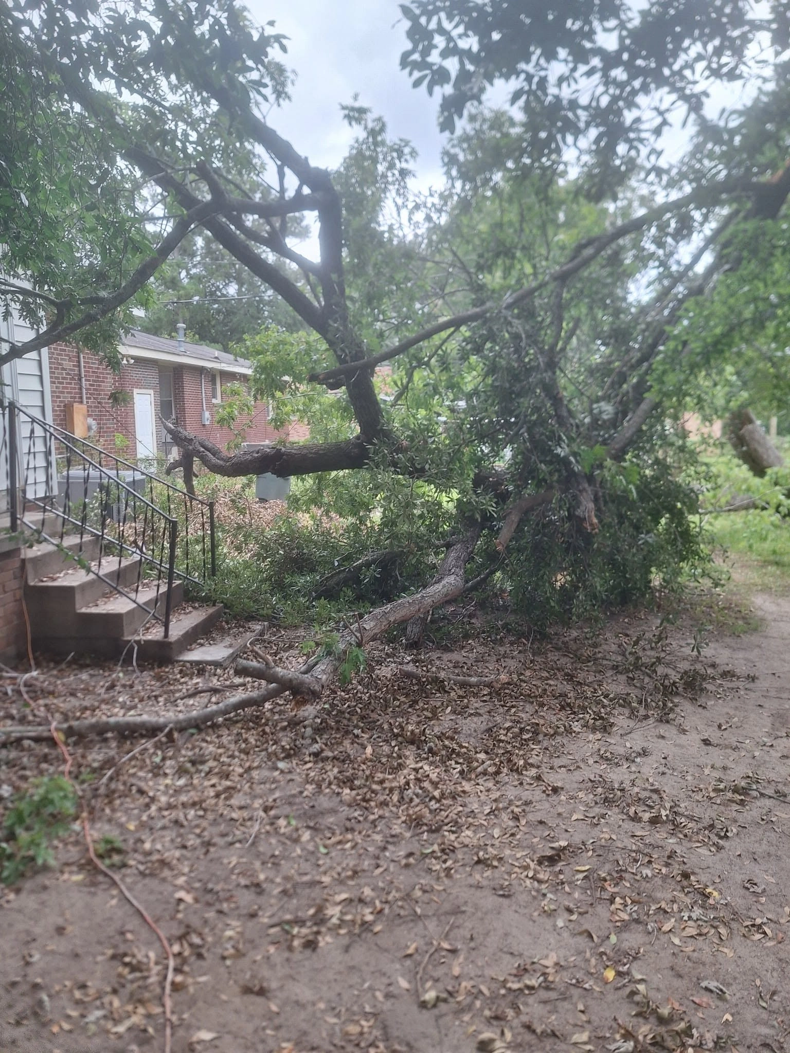 Large oak limb fallen brick back steps iron railing bare dir
