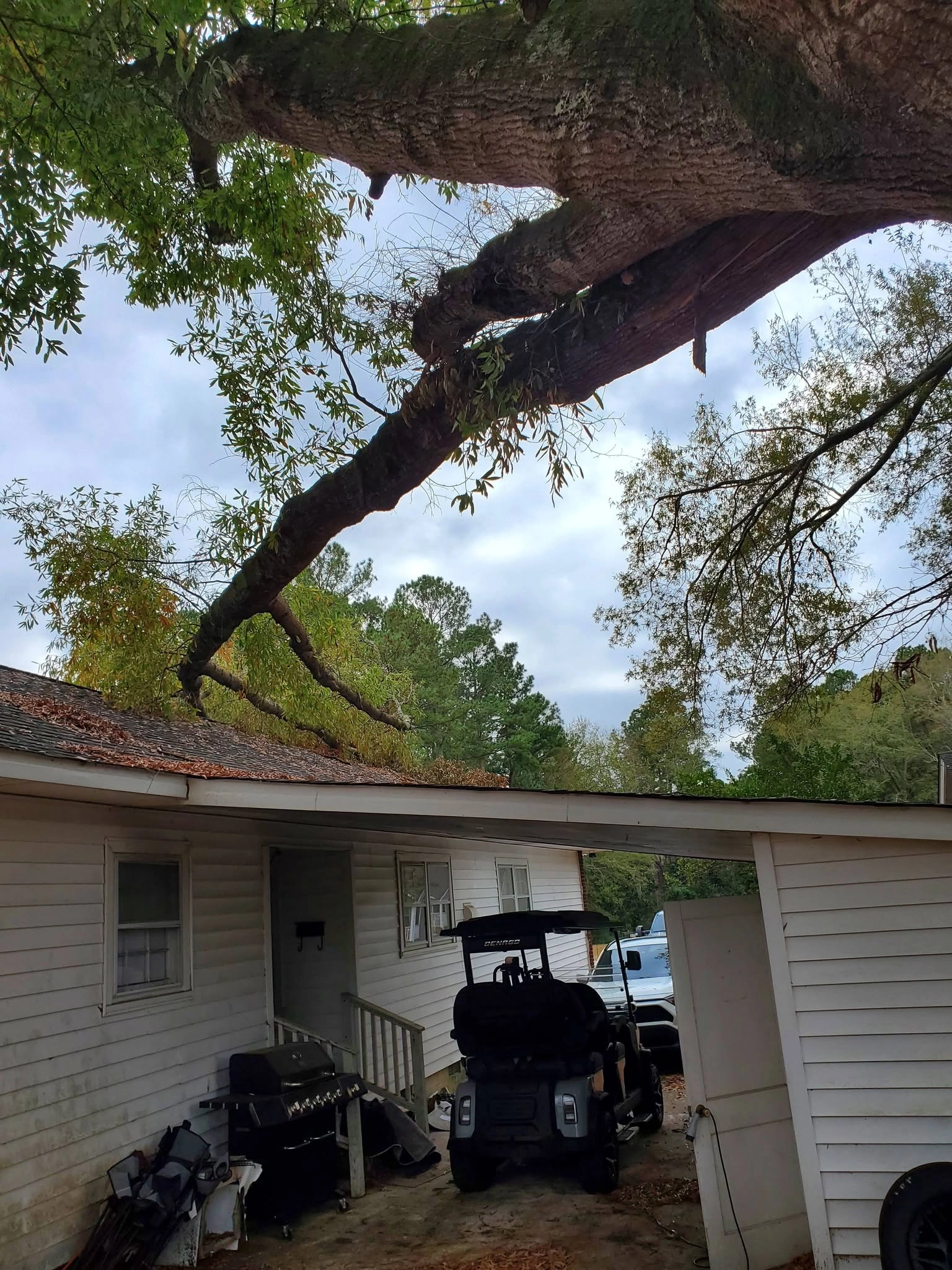 Large oak limb overhanging white siding house carport golf c
