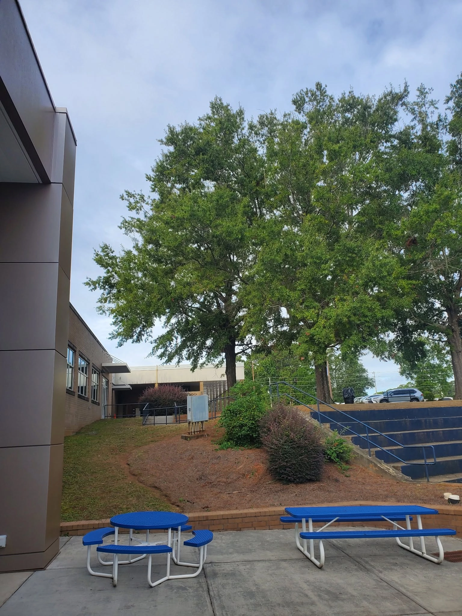 Large oak school courtyard blue picnic tables concrete steps