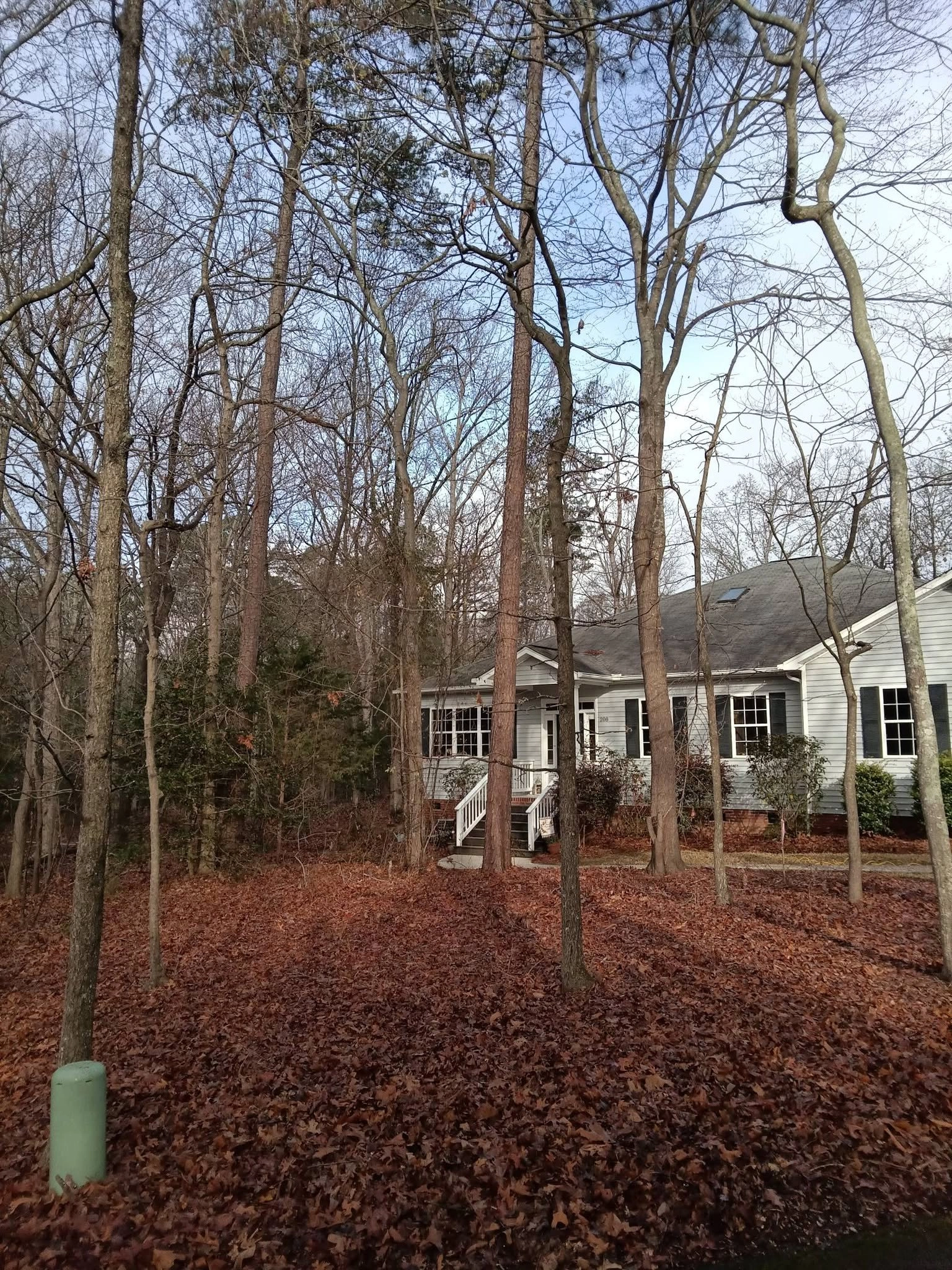 Leaf covered wooded lot gray siding house white porch rails 