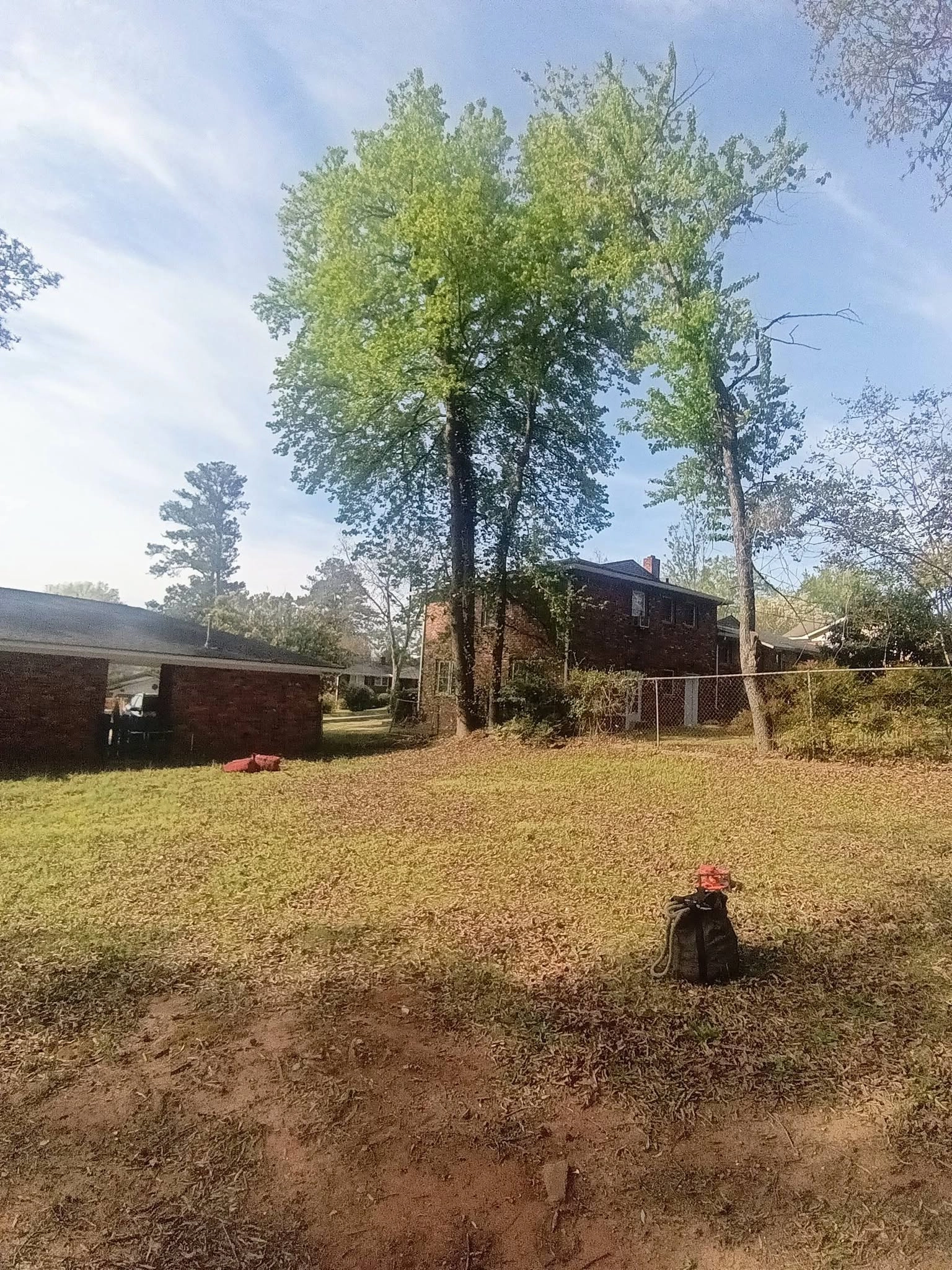 Leafy spring hardwoods brick two story backyard climbing gea