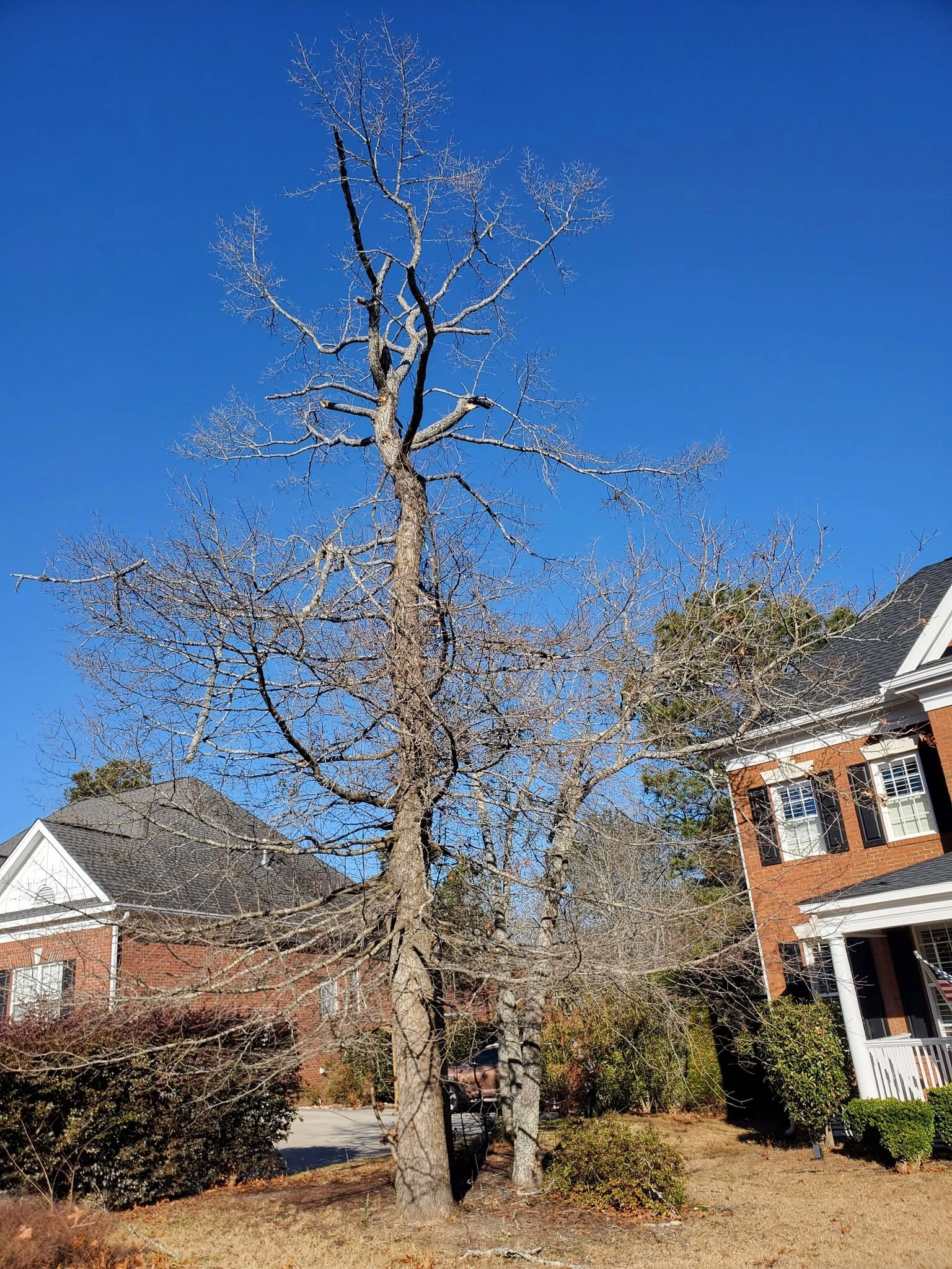 Leaning bare hardwood two story brick home black shutters fr