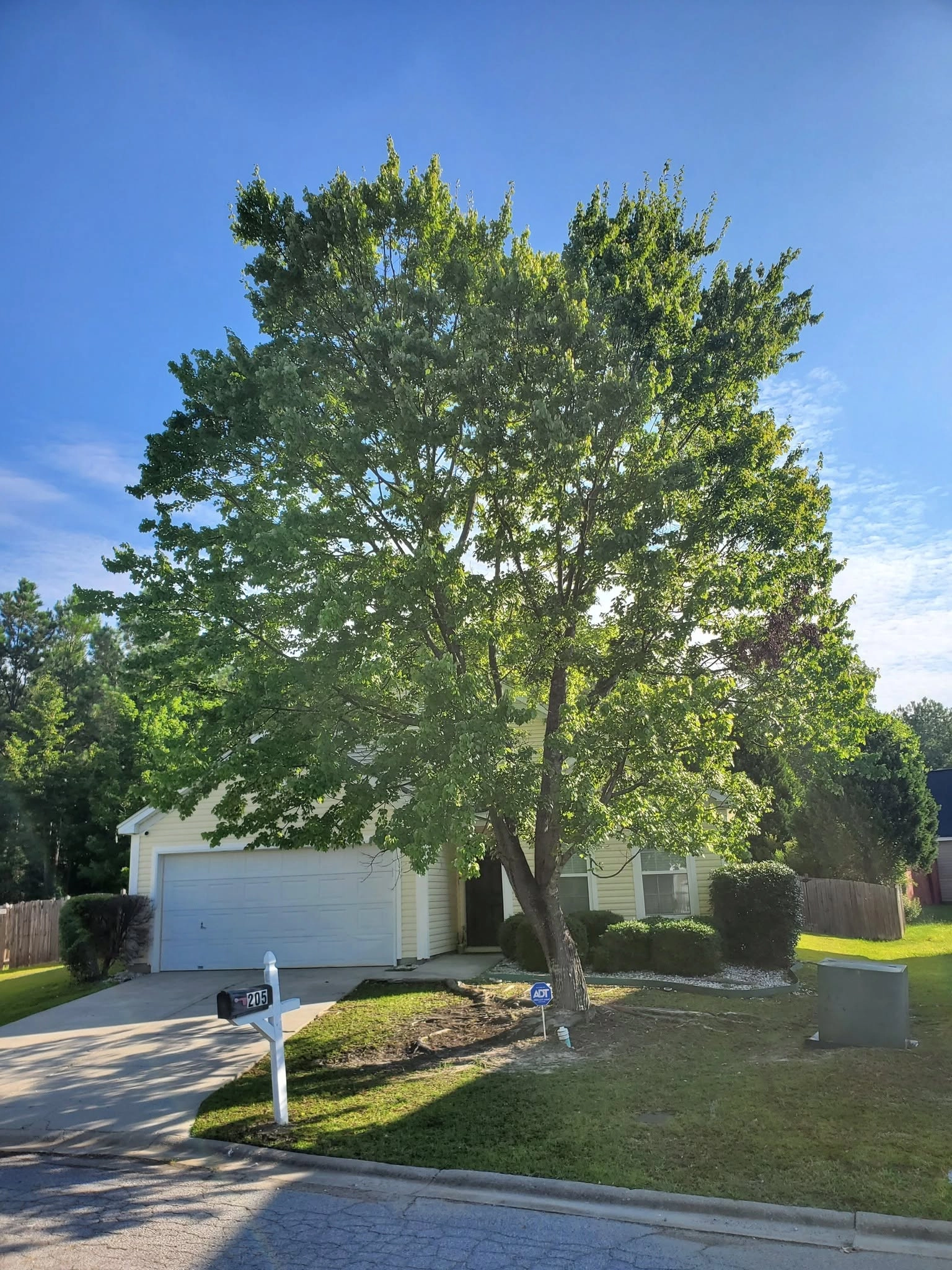 Leaning front yard shade tree yellow house white garage mail