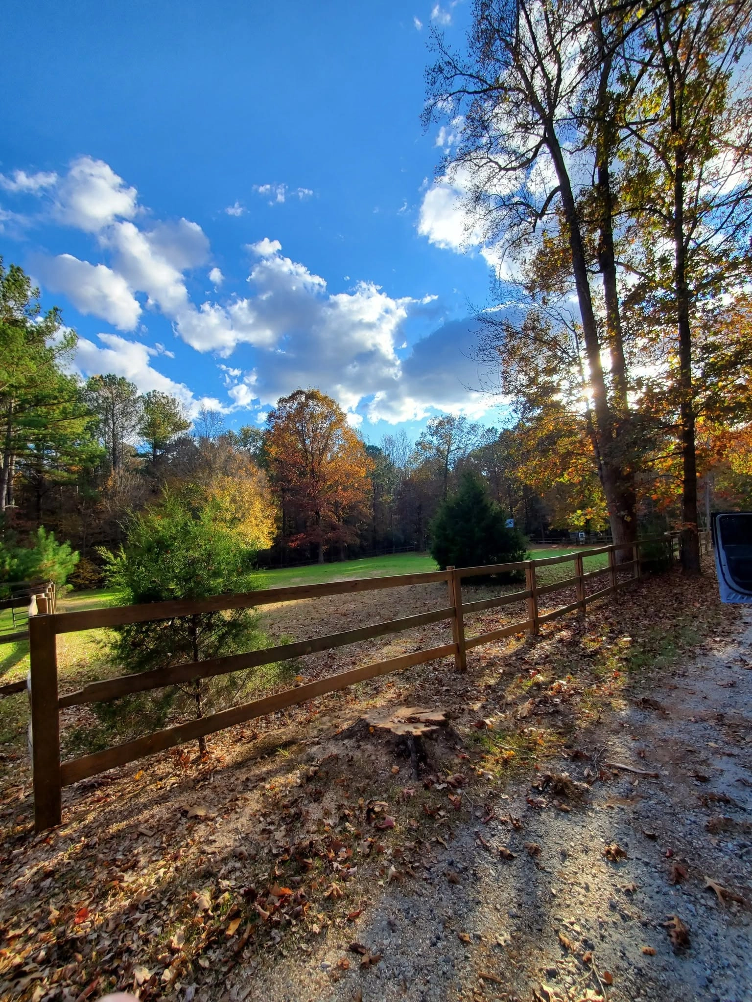 Low stump rail fence young cedars blue sky springdale sc
