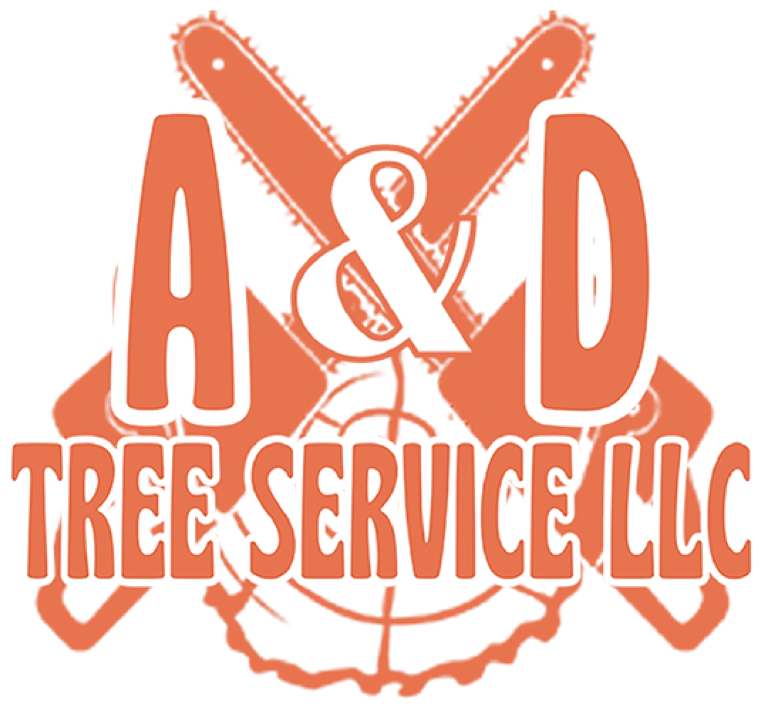 A&D Tree Service LLC