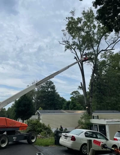 Orange boom lift over parked cars tree removal cayce
