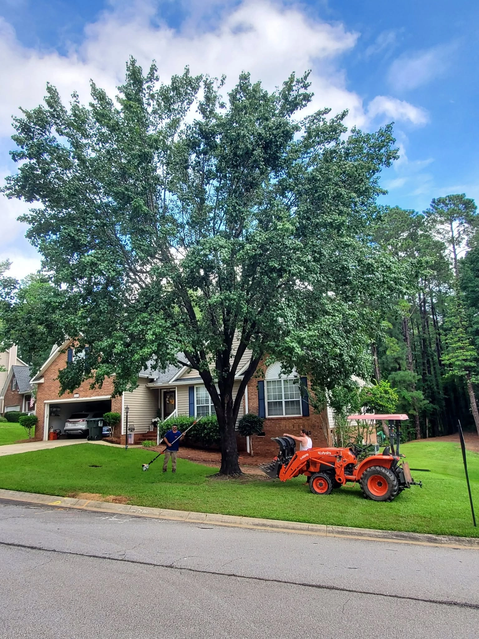 Orange kubota grapple front yard shade tree worker pole saw 