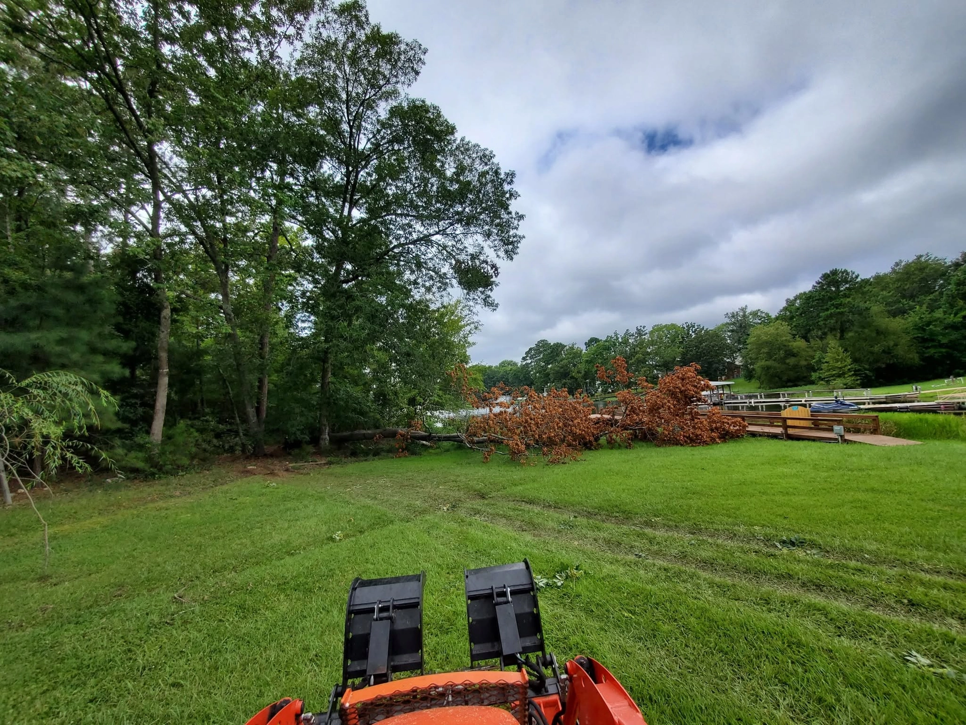 Orange tractor grapple view fallen brown tree lakeside docks