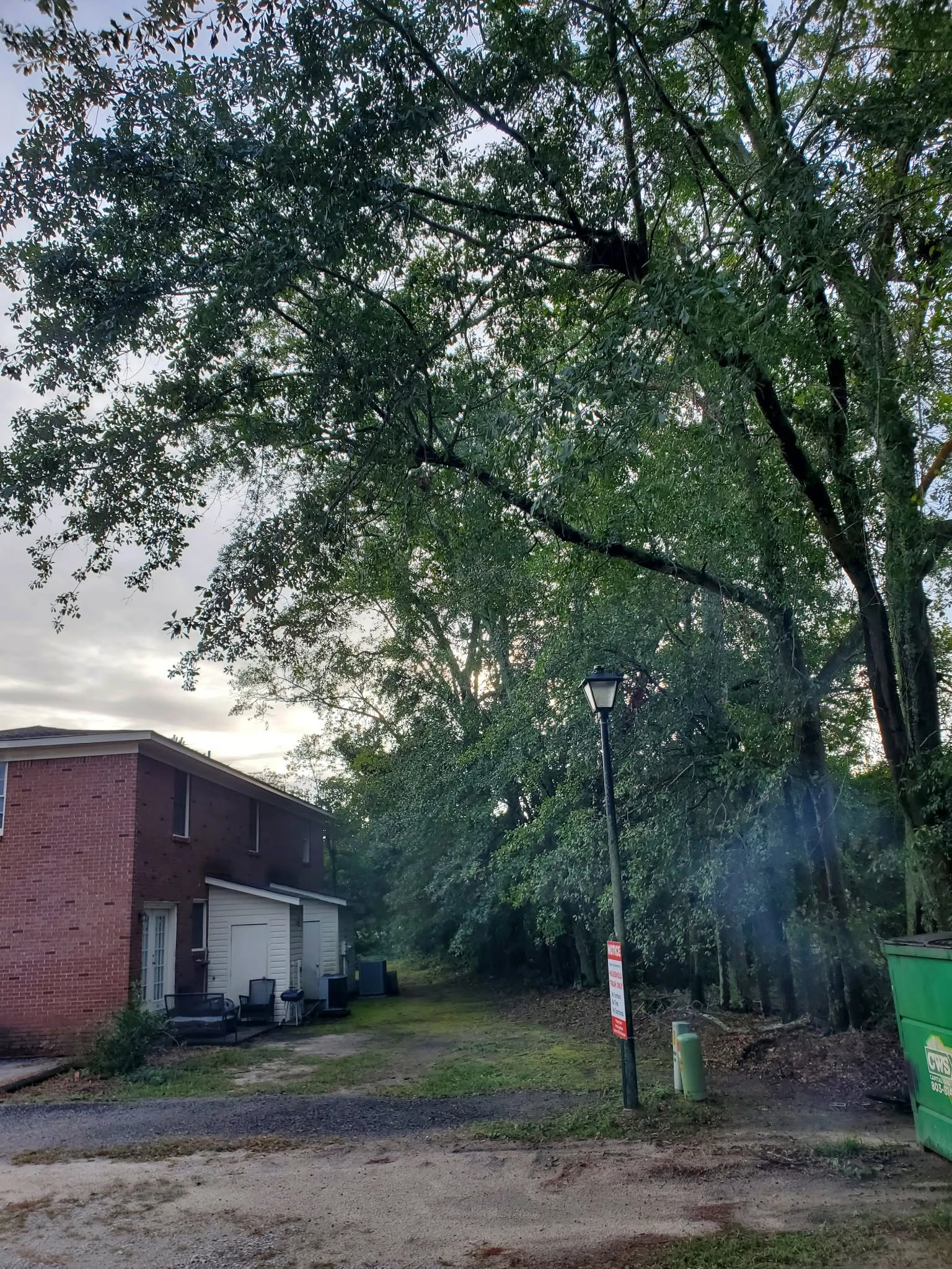 Overhanging oak limbs brick two story white garage lamp post