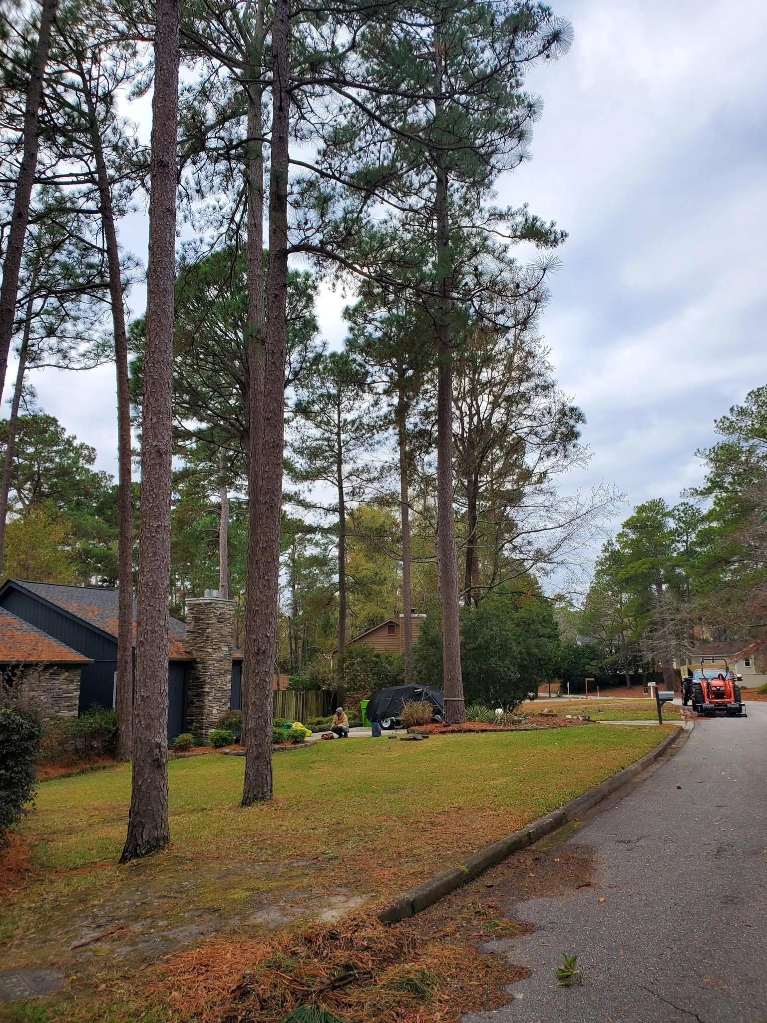 Pine lined front yard kubota tractor curb mailbox cayce sc