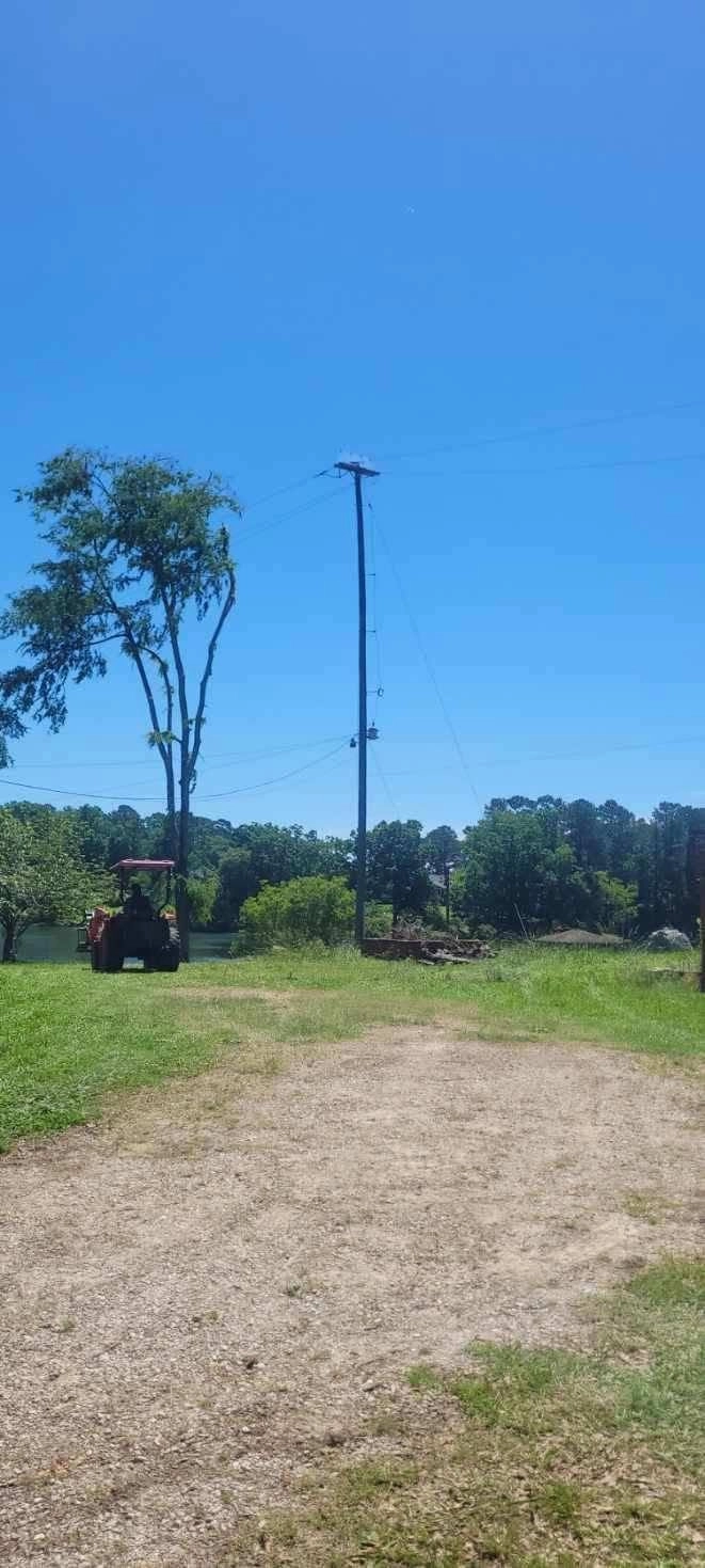 Red tractor utility pole sparse tall tree lakeside lot cayce