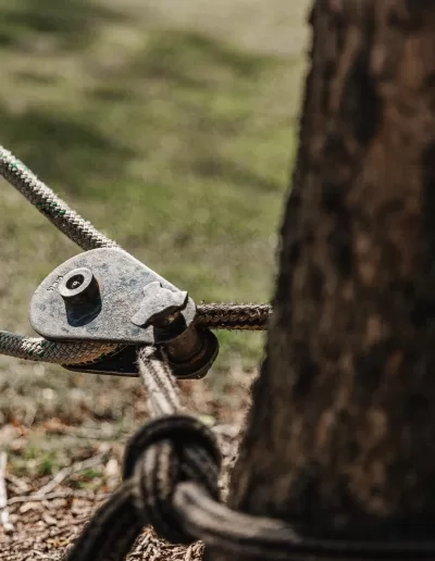Rigging block rope knot tree base springdale sc