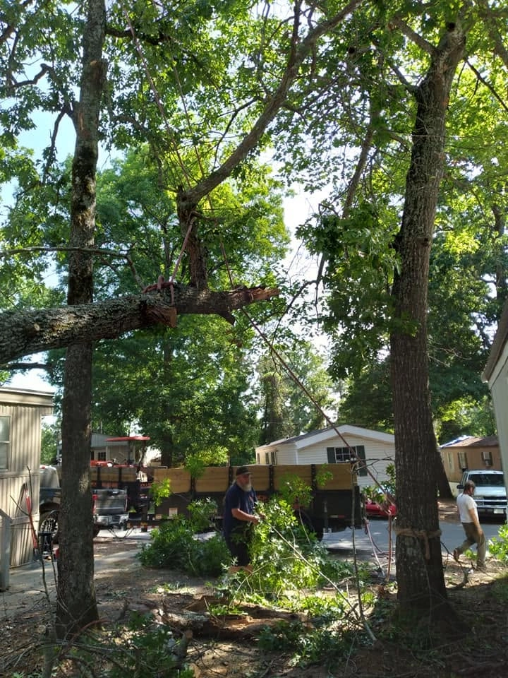 Roped hanging limb two workers dump trailer mobile home park