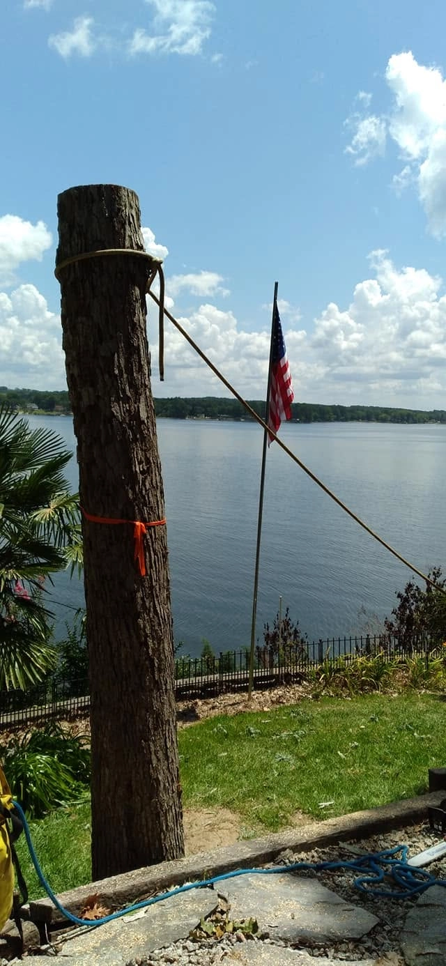 Roped topped trunk american flag lakefront yard lexington sc