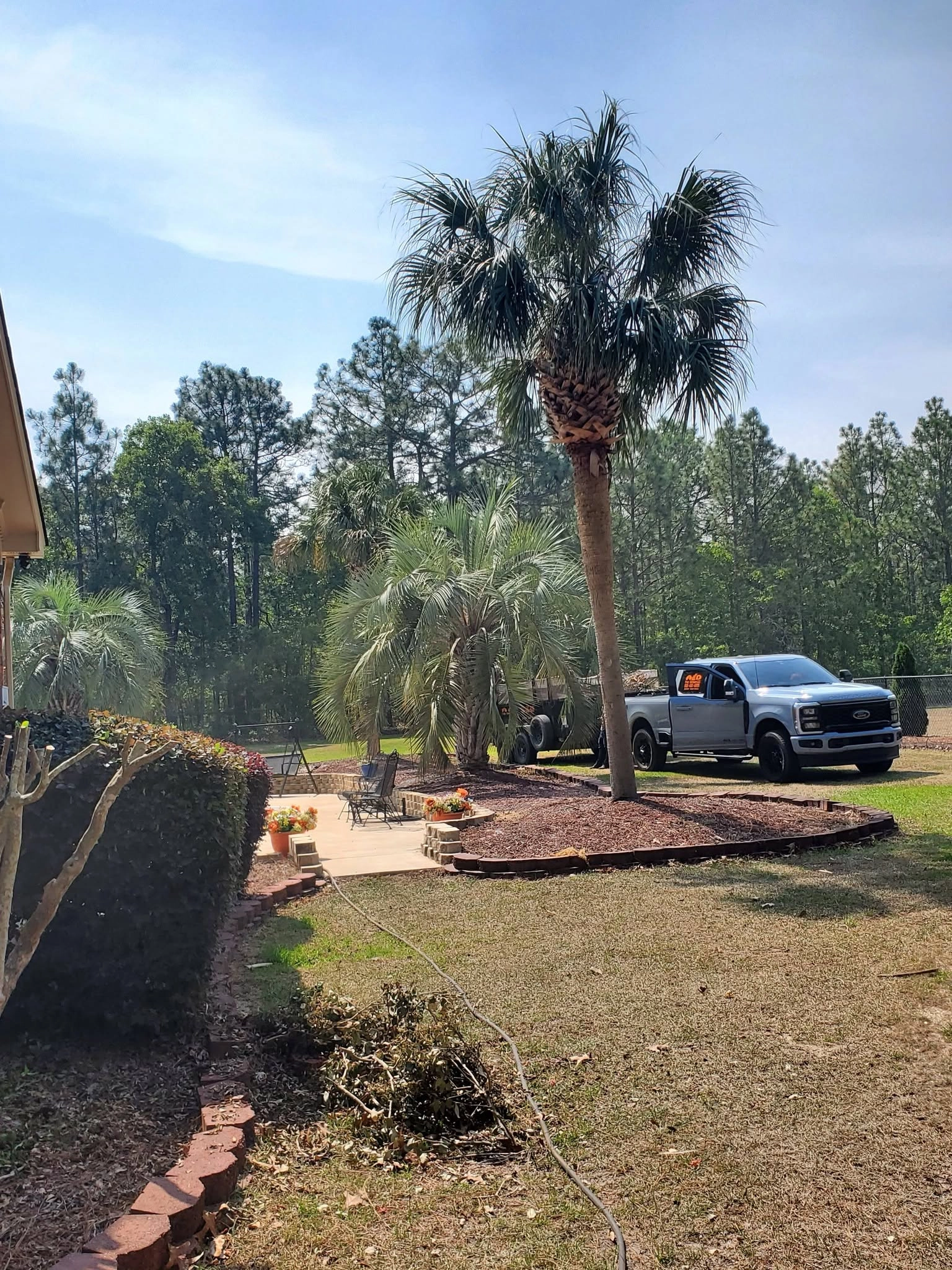 Sabal palm mulch bed gray pickup trailer cayce