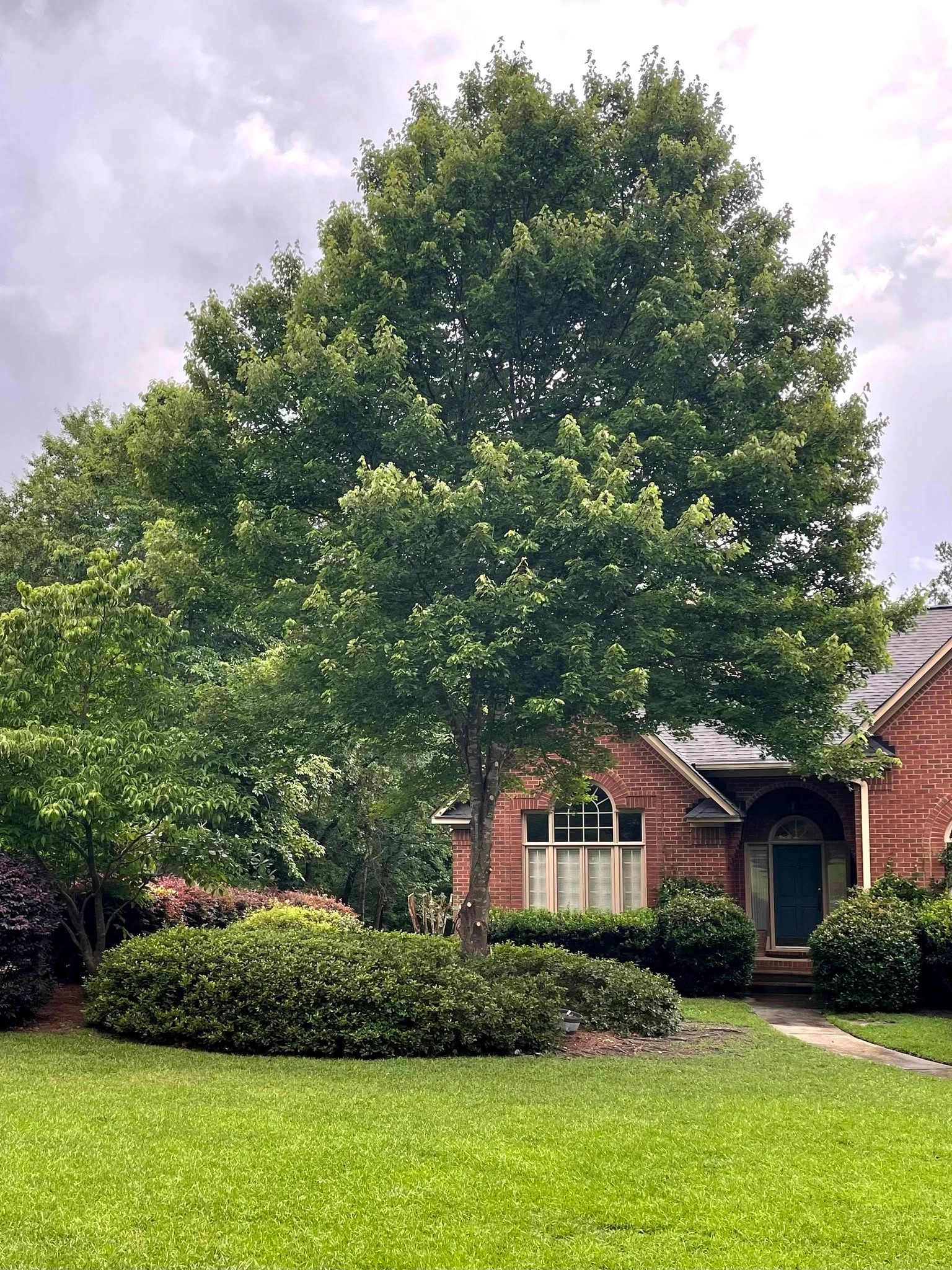 Shade tree brick house green door cayce sc
