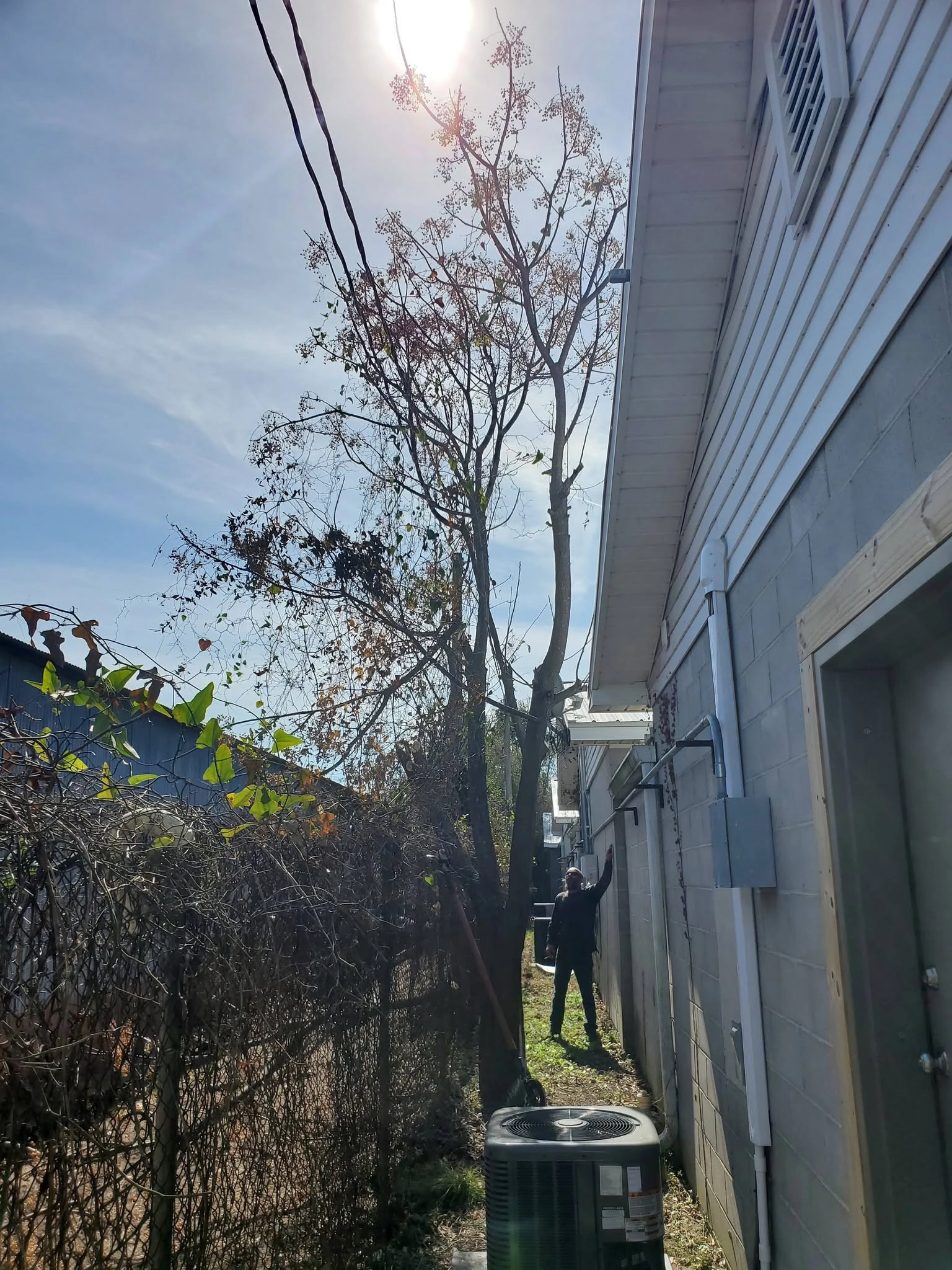 Slender tree narrow alley cinder block wall ac unit worker w