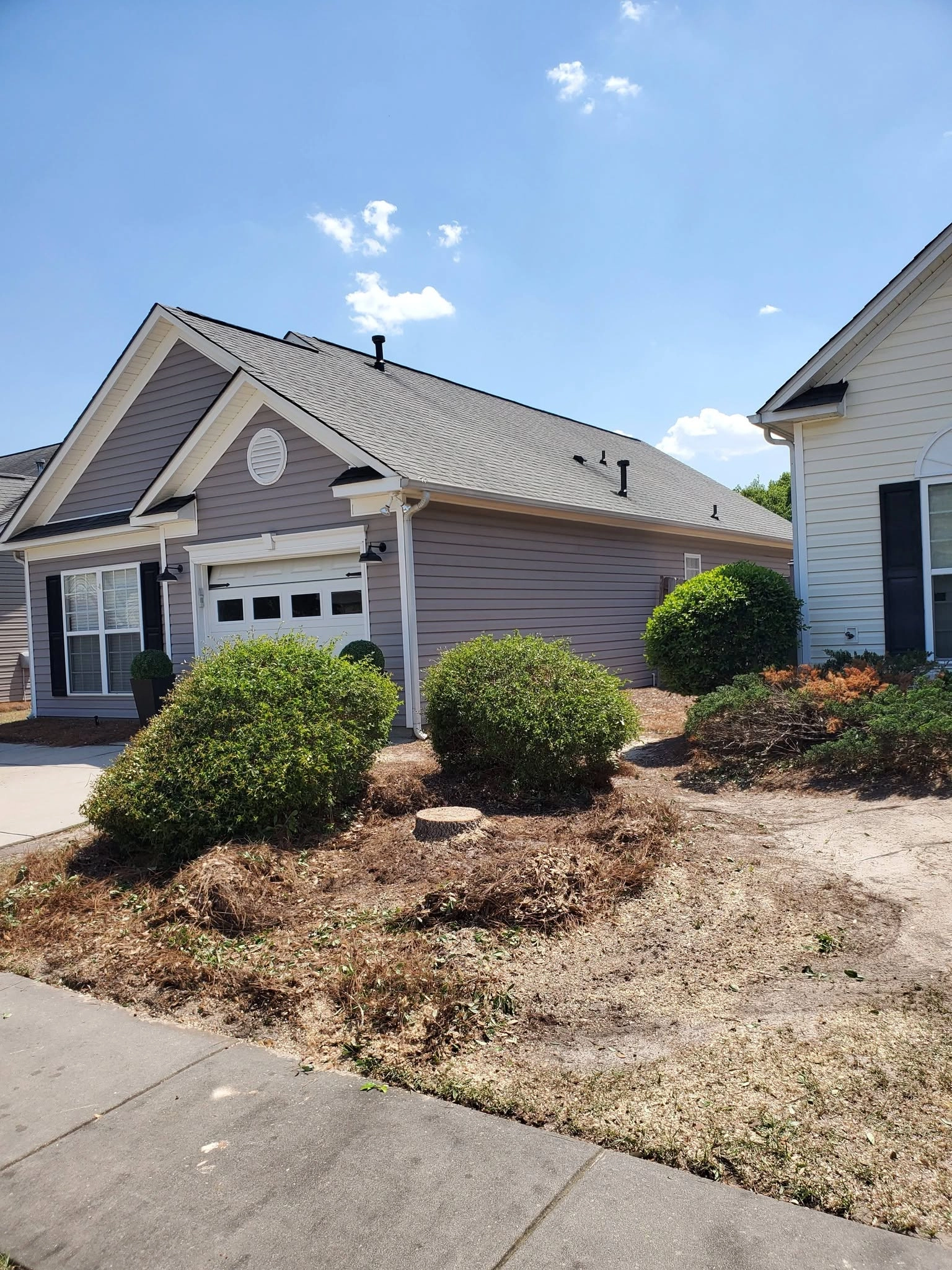 Small flush cut stump rounded shrubs gray siding garage cayc