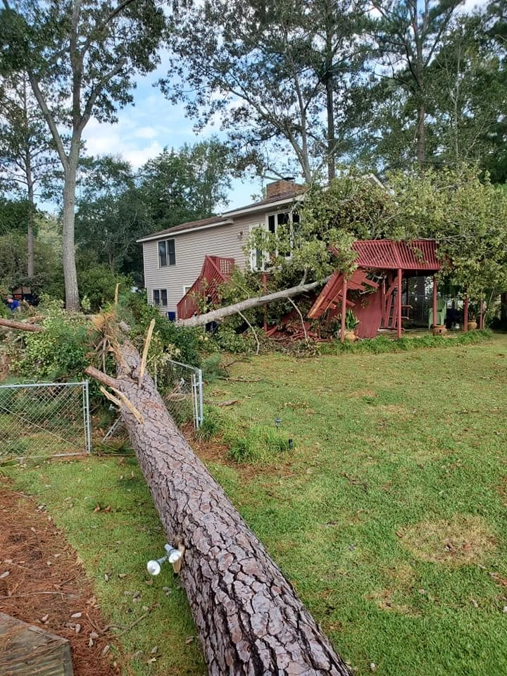 Snapped pine trunk crushed red deck chain link gate cayce sc