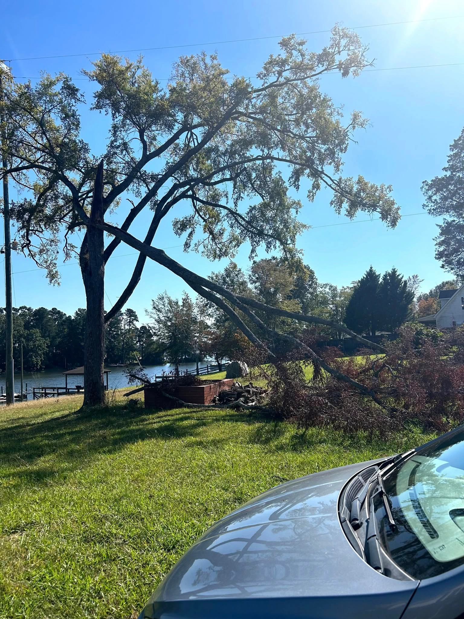 Split lakeside oak leaning limbs dock view car hood cayce sc