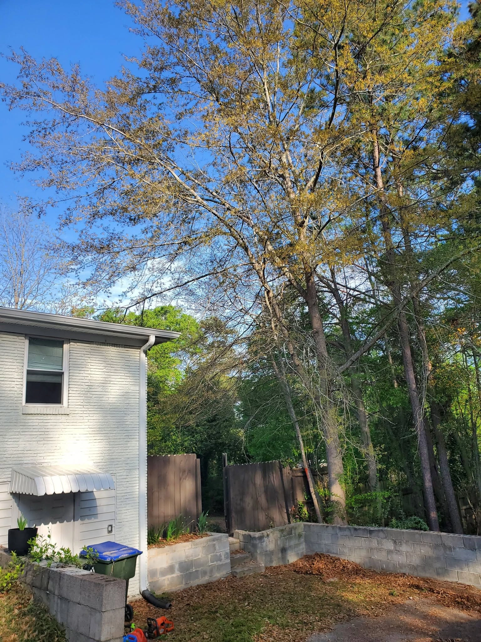 Spring oak over white brick house awning cayce sc