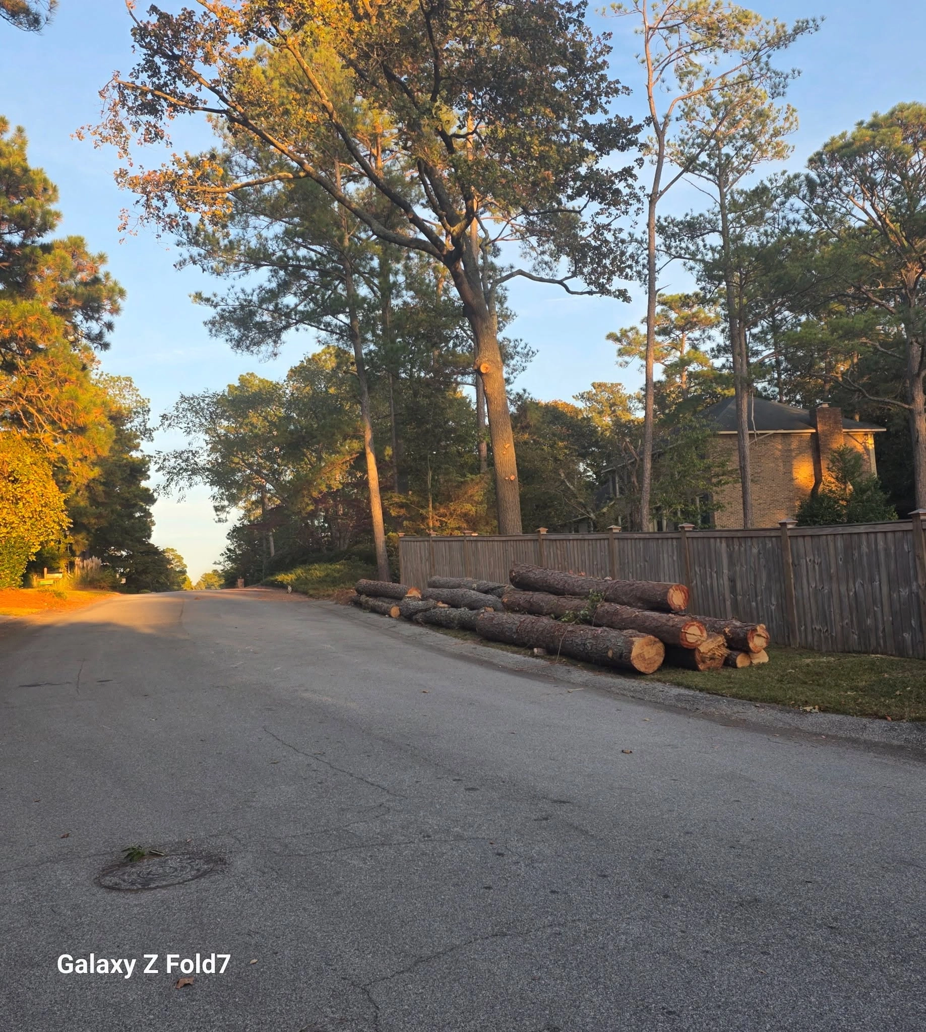 Stacked pine logs curbside wood fence brick house sunrise ca