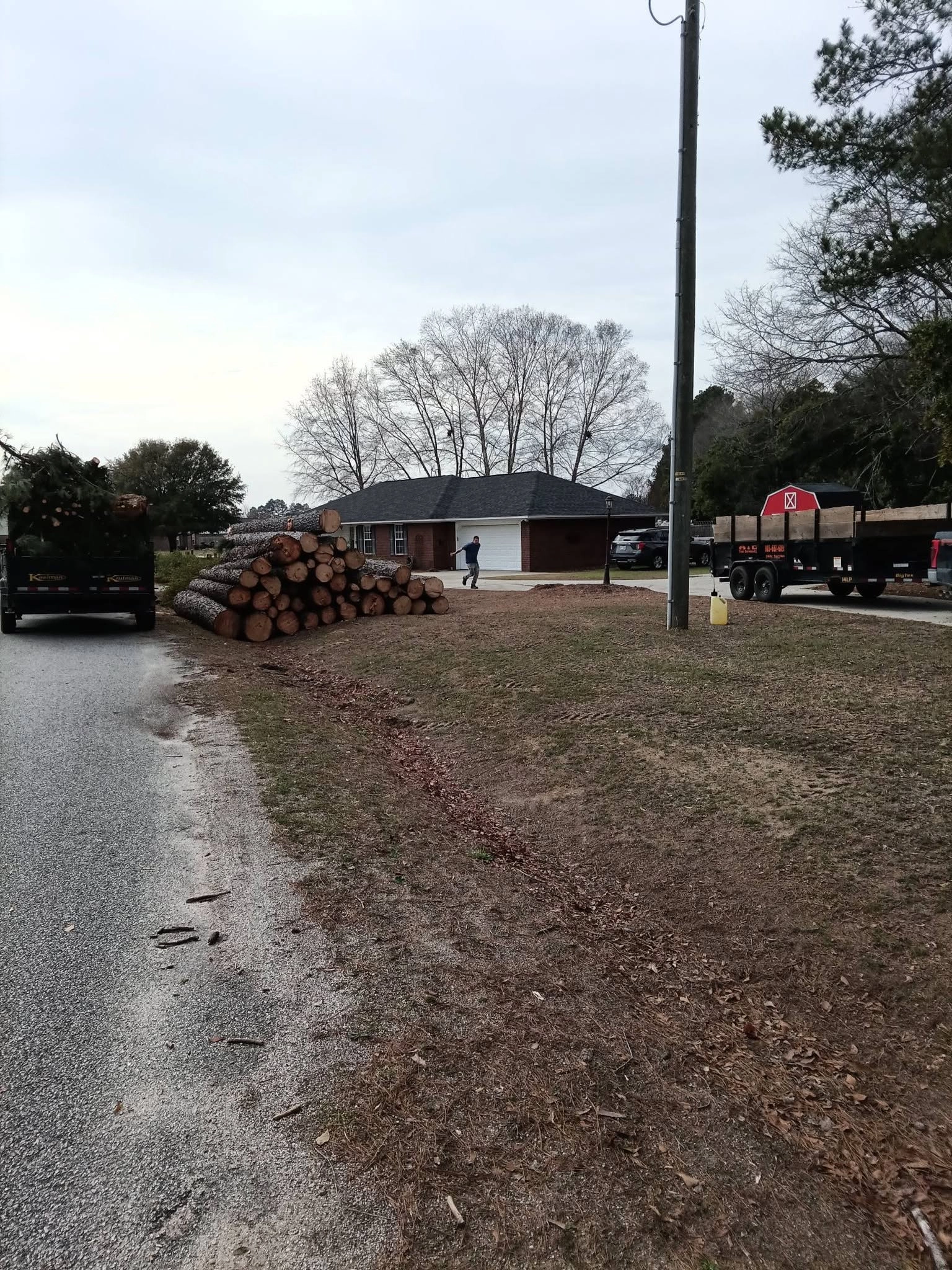 Stacked pine logs roadside brick ranch two dump trailers wes