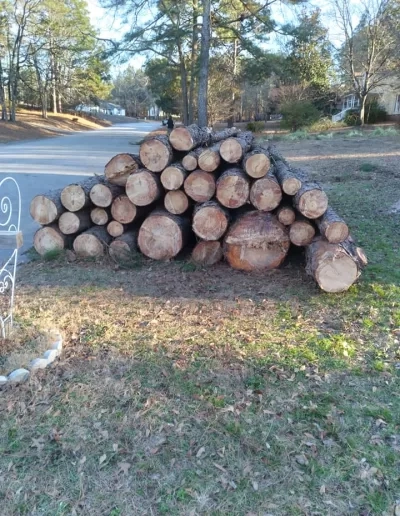 Stacked pine logs roadside tree removal cayce
