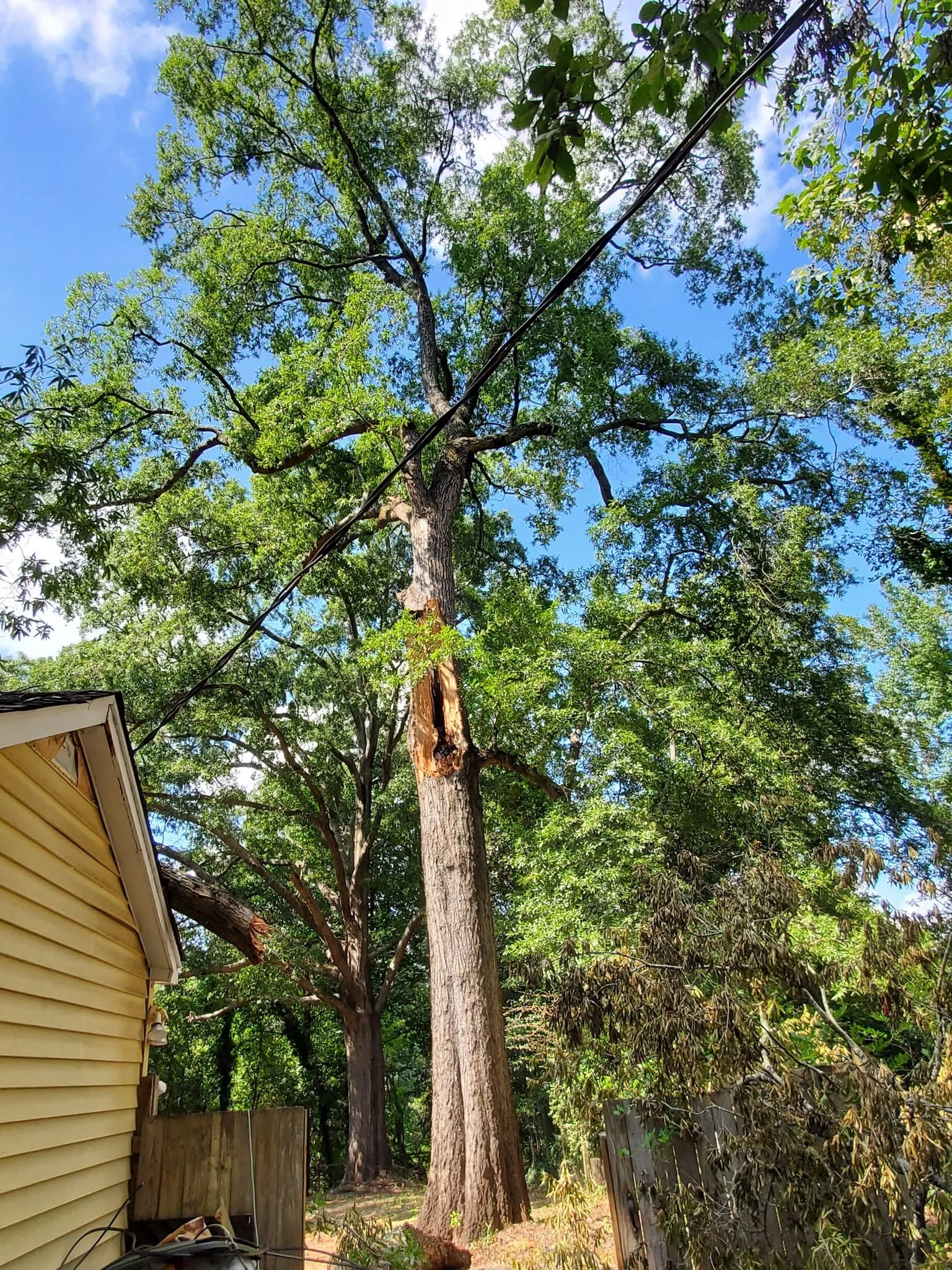 Storm damaged oak torn limb power line yellow siding house c