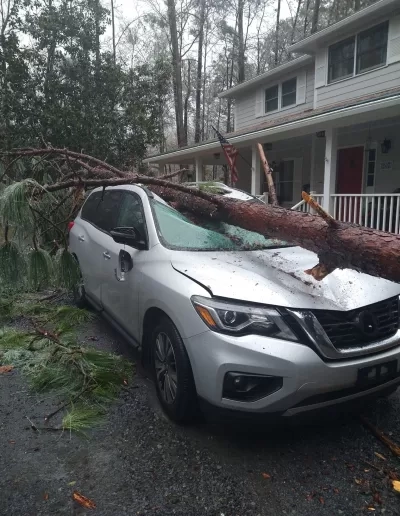 Storm fallen pine crushing suv driveway lexington sc