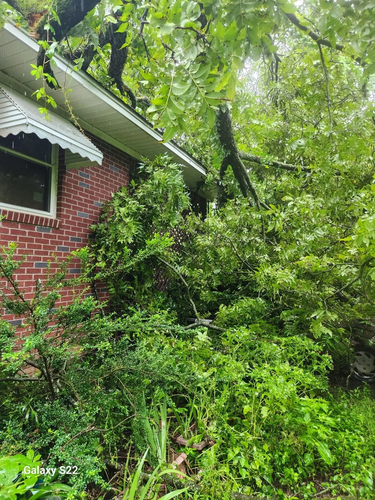 Storm limbs on eave metal awning brick house cayce