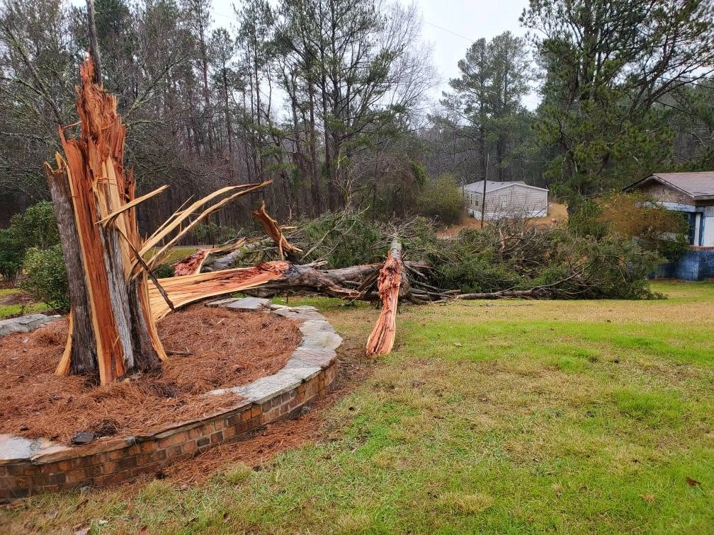 Storm snapped cedar splintered trunk brick planter bed mobil