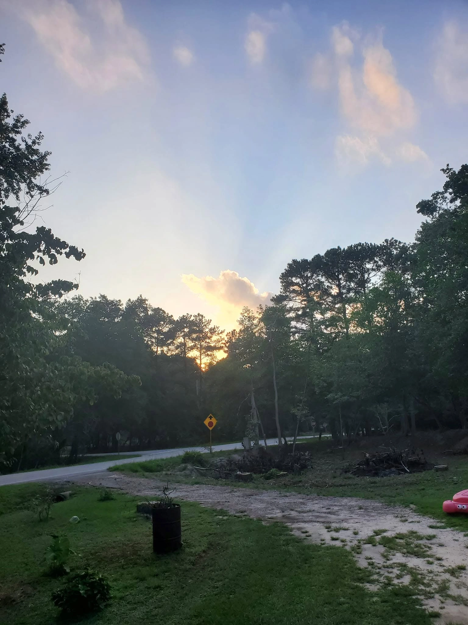 Sunset roadside lot fresh stumps brush piles yellow road sig