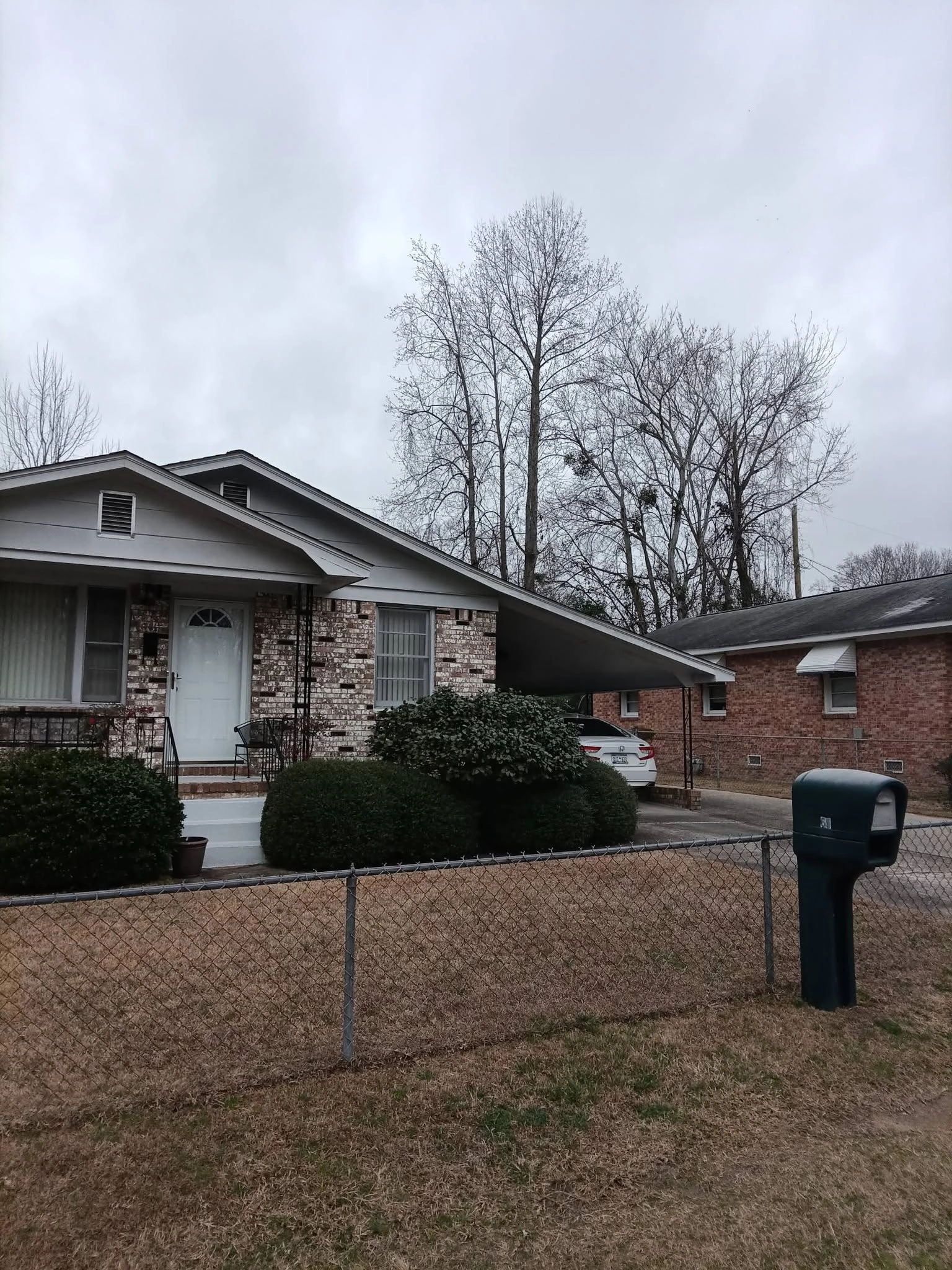 Tall bare hardwoods behind brick bungalow carport green mail