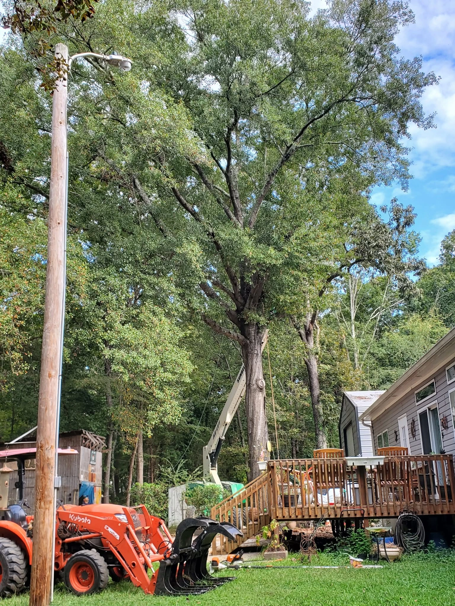 Tall oak behind wood deck lift boom utility pole kubota grap