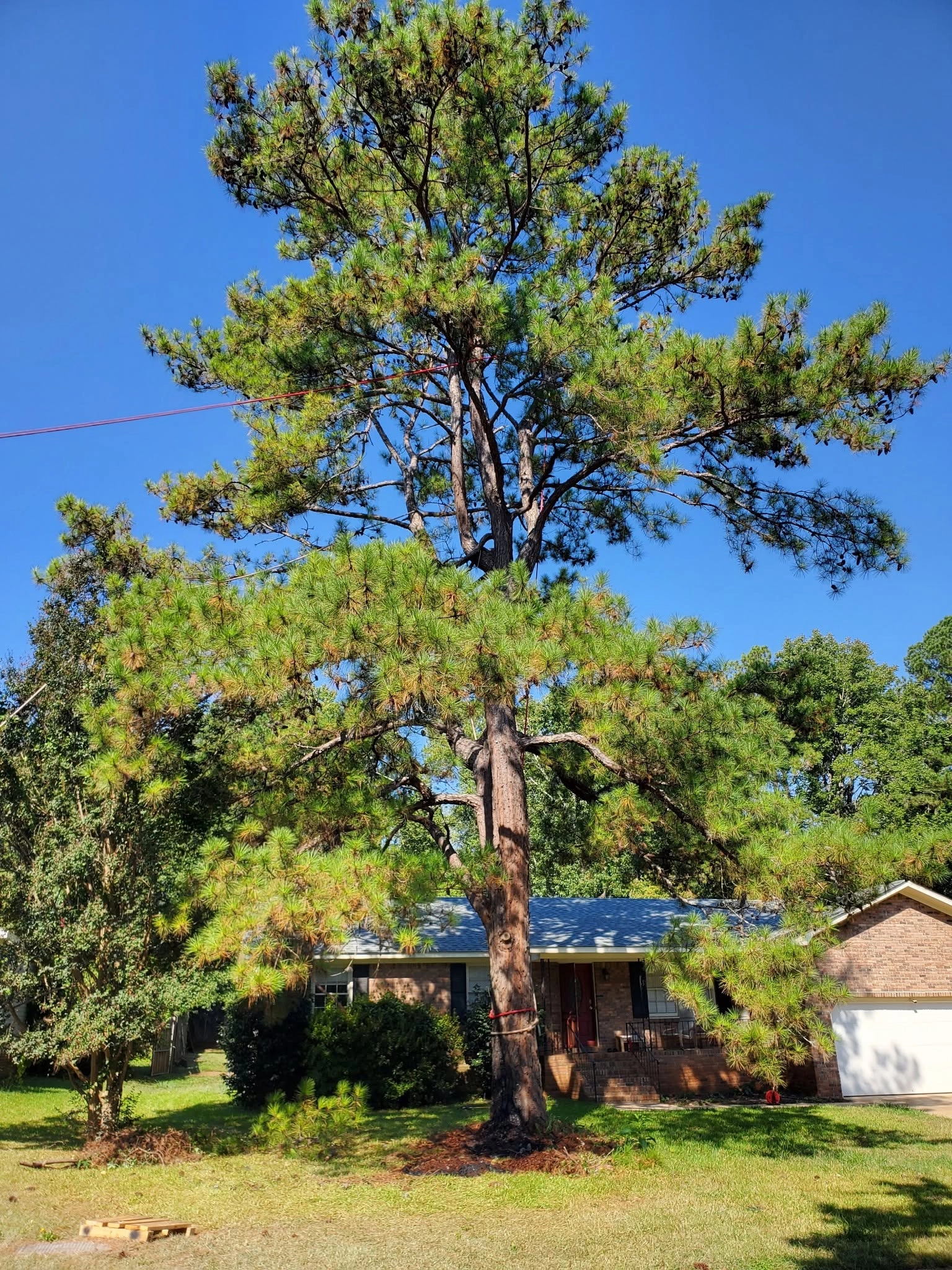 Tall pine rigging rope brick ranch red door cayce sc