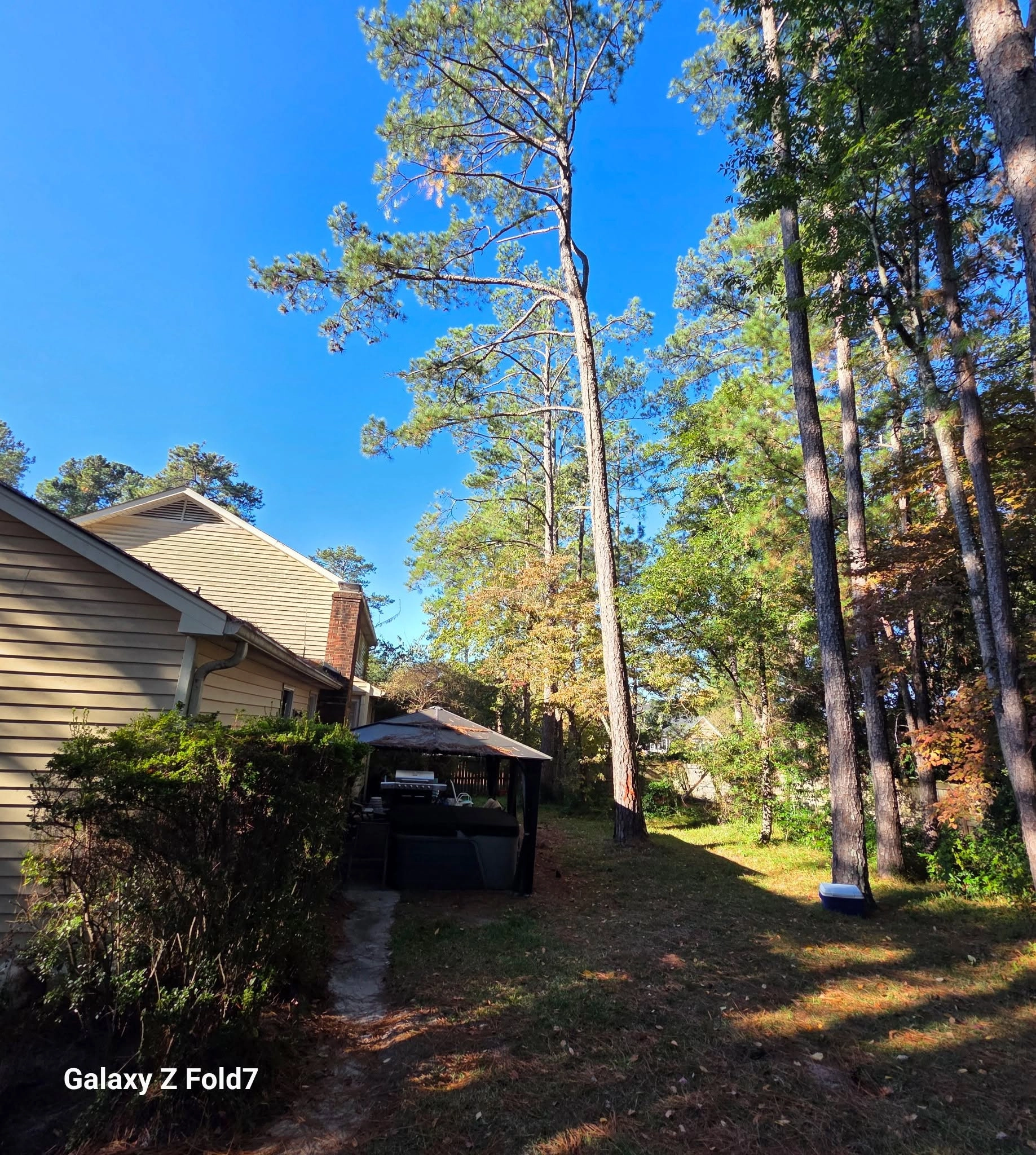 Tall pine side yard grill gazebo yellow siding home cayce sc
