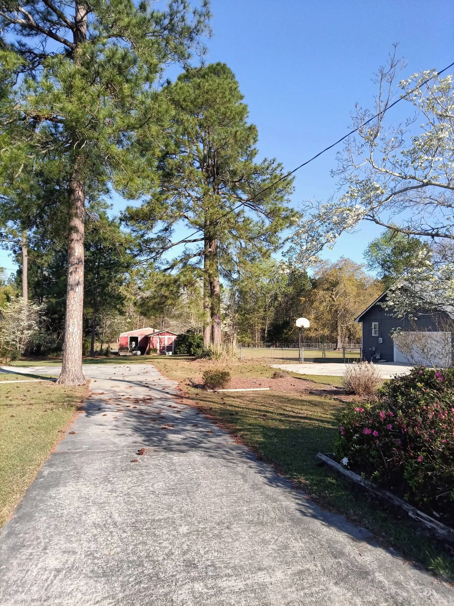 Tall pines concrete driveway basketball hoop red shed cayce 