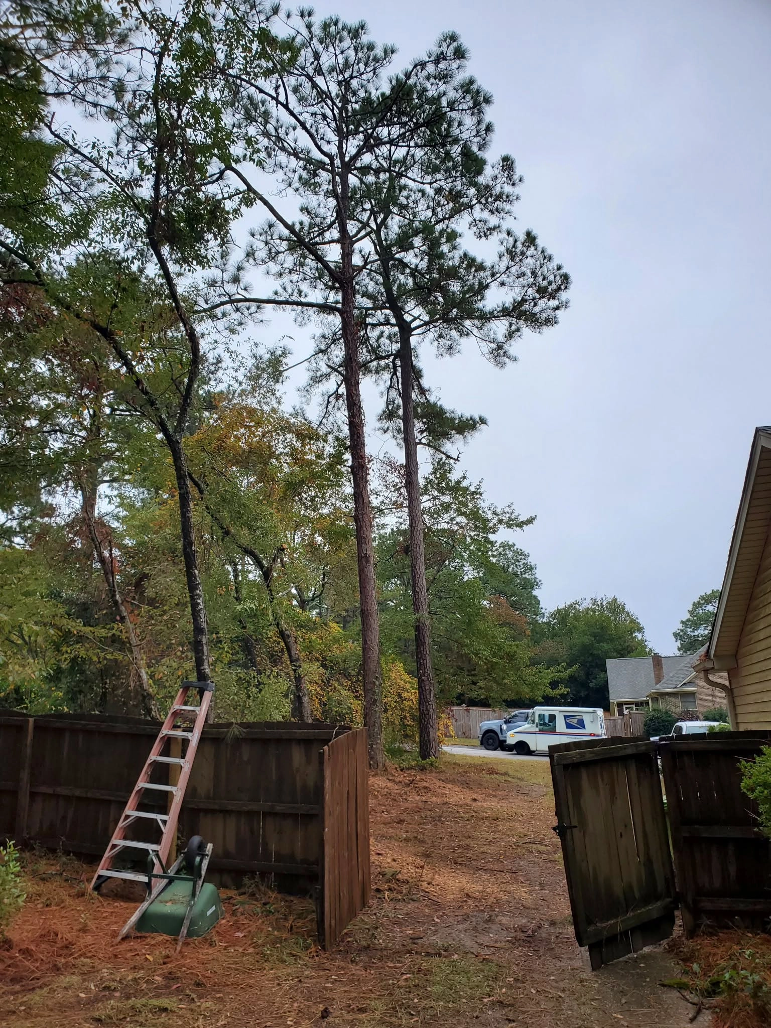 Tall pines open wood gate ladder mail truck yellow house cay