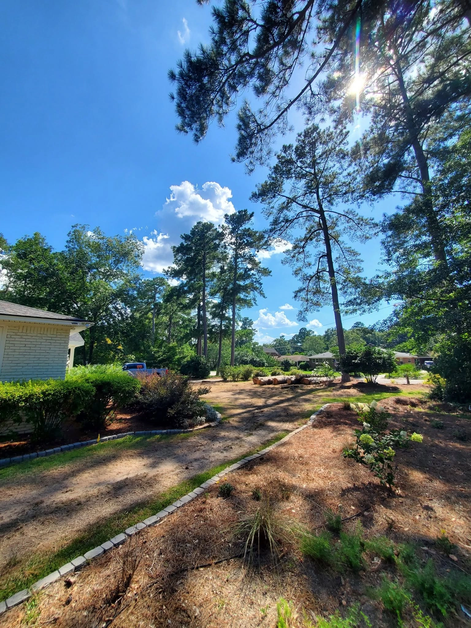 Tall pines pine straw beds stone border white brick ranch ca